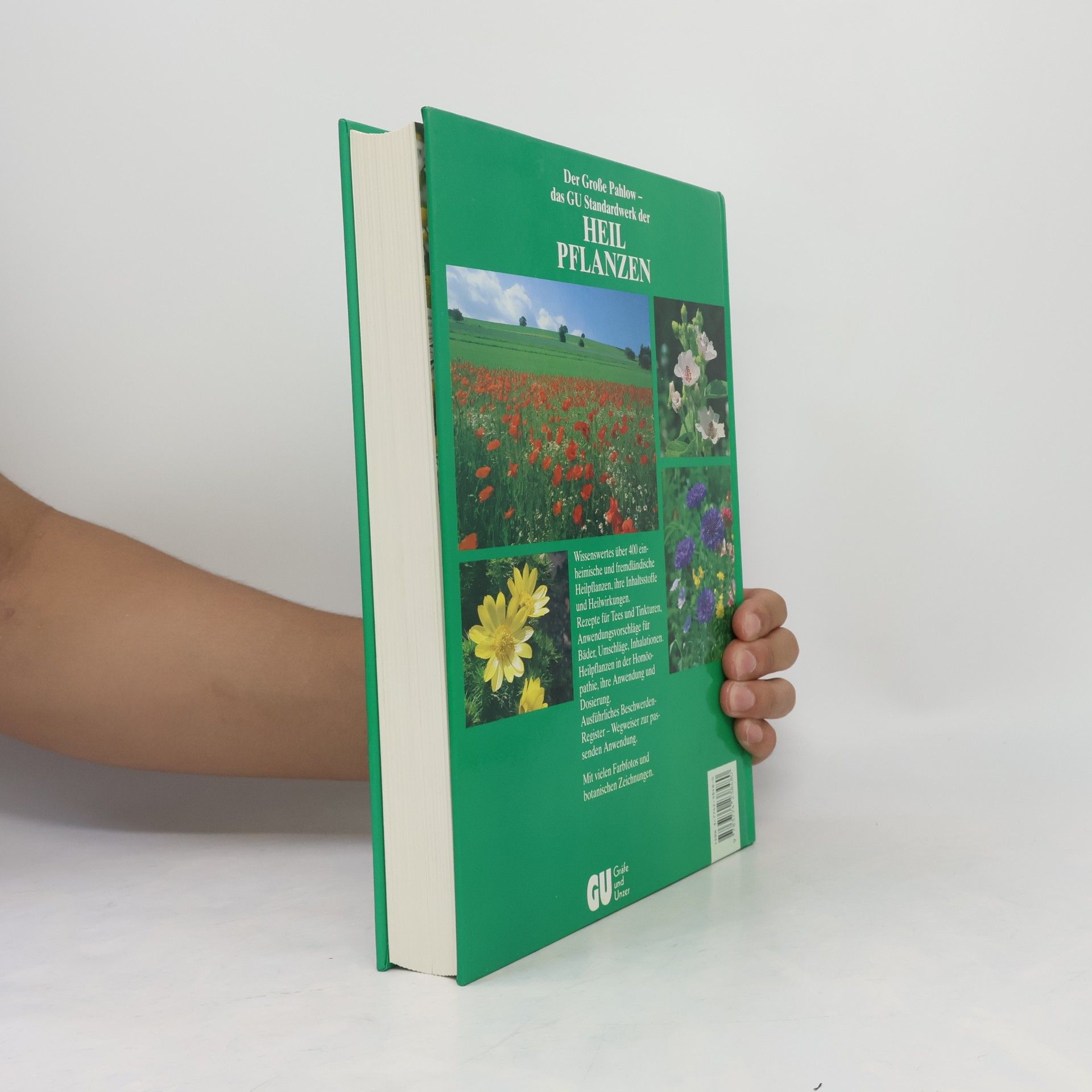 Mannfried Pahlow Das Große Buch der Heilpflanzen. Gesund durch die Heilkräfte der Natur