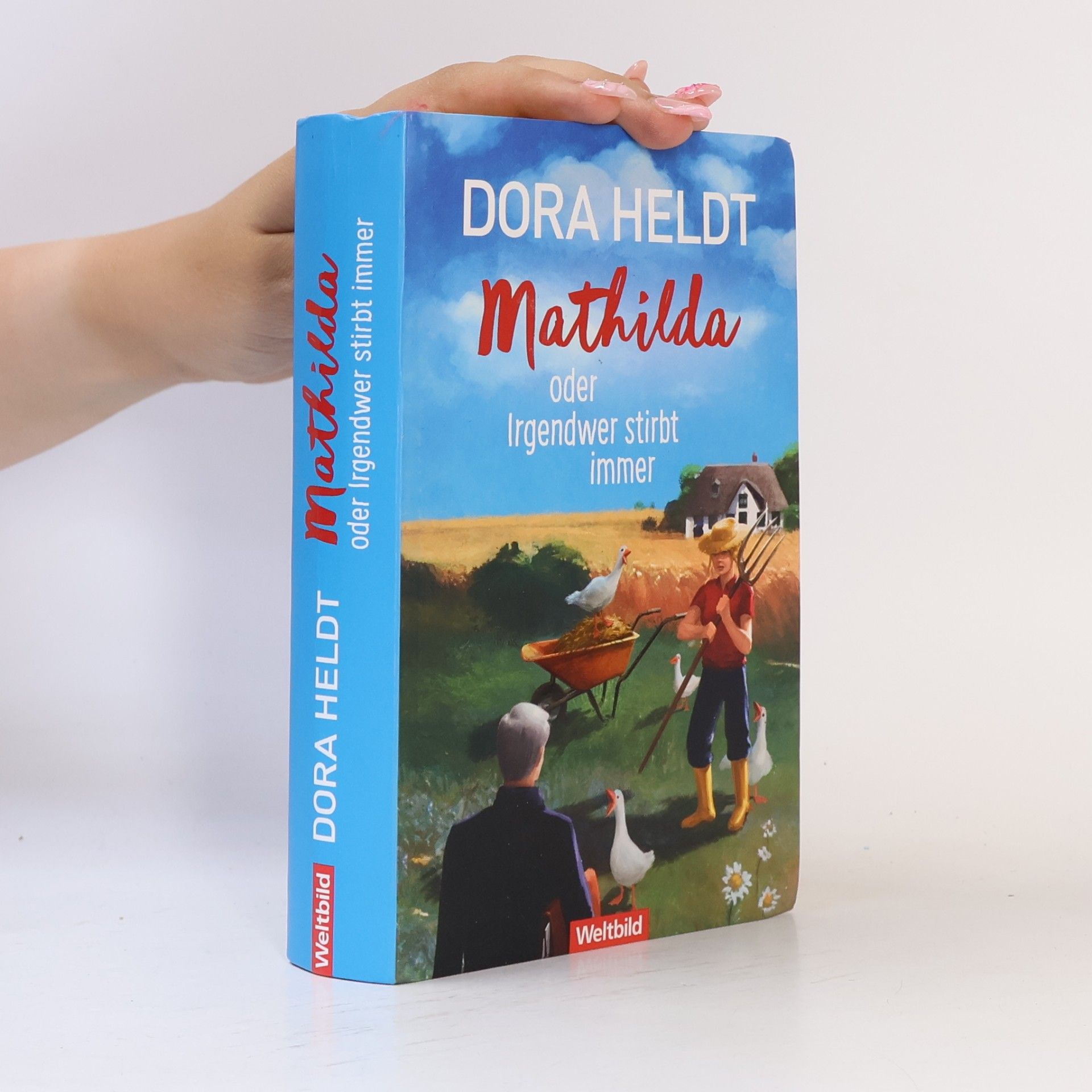 Dora Heldt Mathilda oder Irgendwer stirbt immer