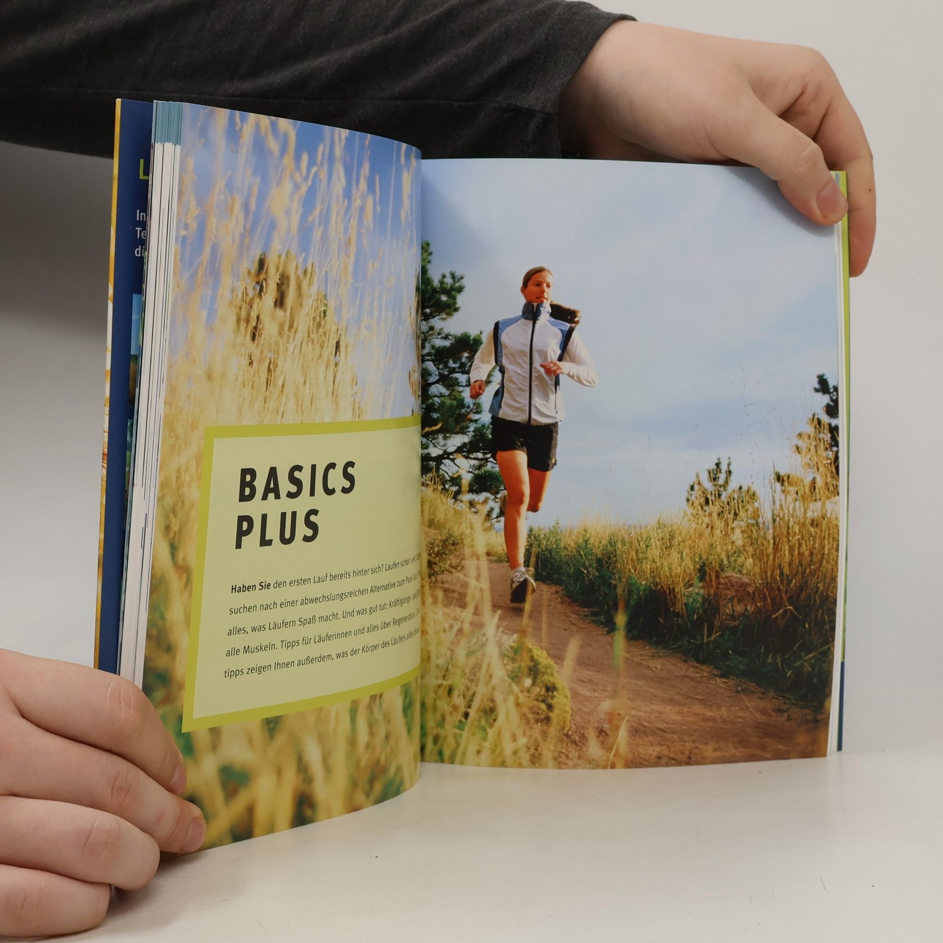 Autorenkollektiv Lauf dich fit!
