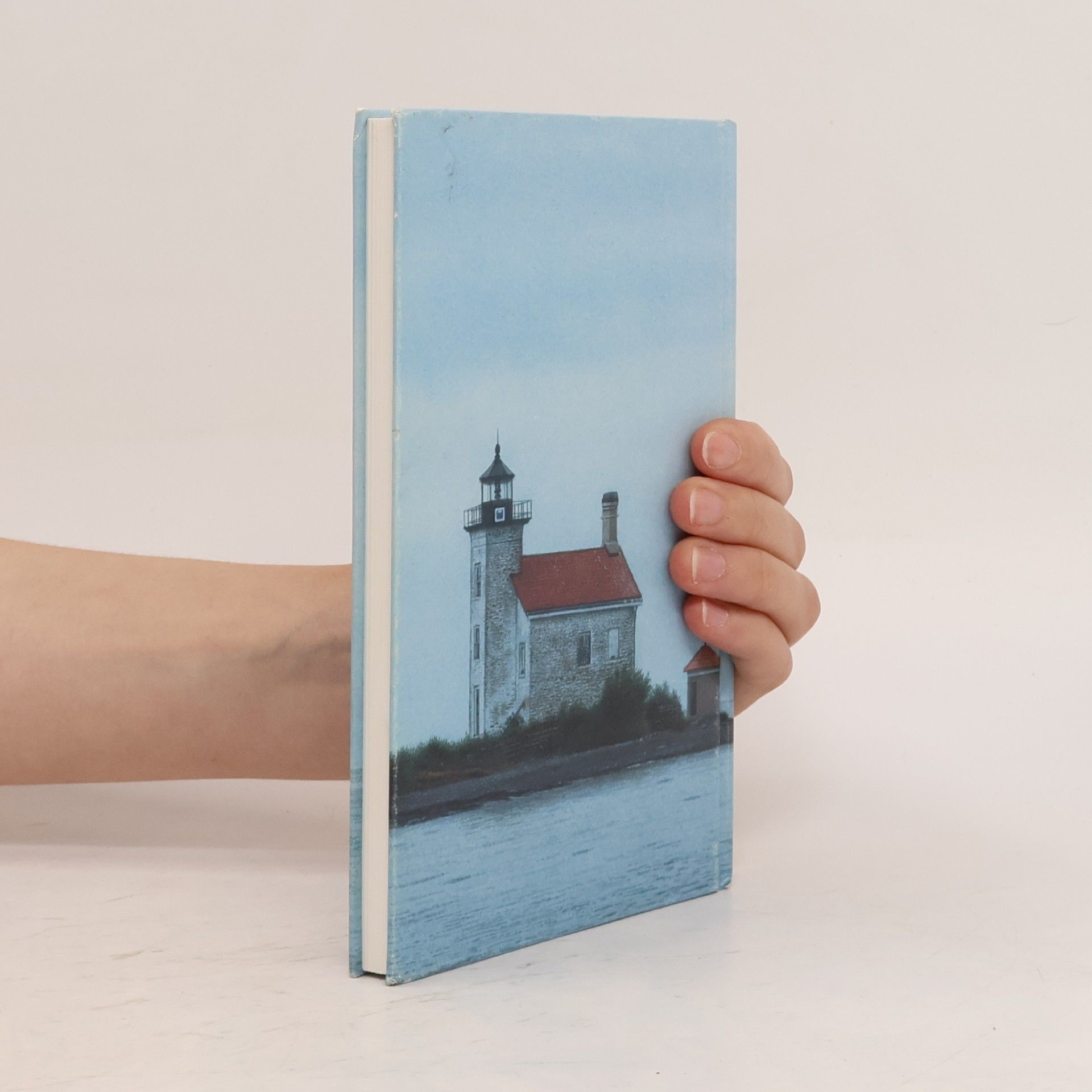 Matthias Reiner Das Meerbuch. Maritimes Geschenkbuch mit Bildern von Quint Buchholz