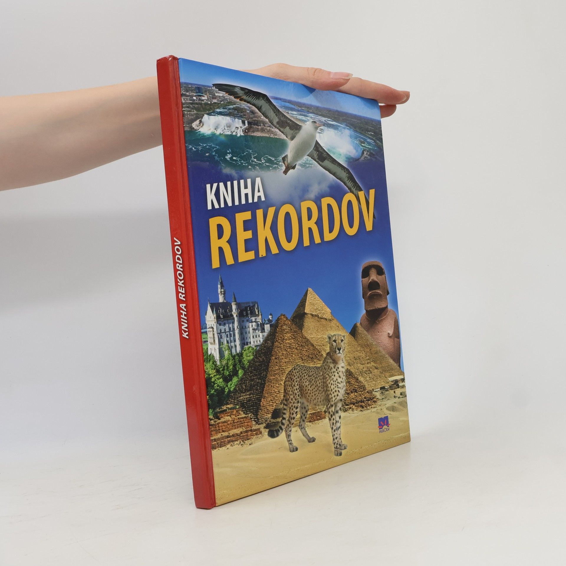 Autorenkollektiv Kniha rekordov