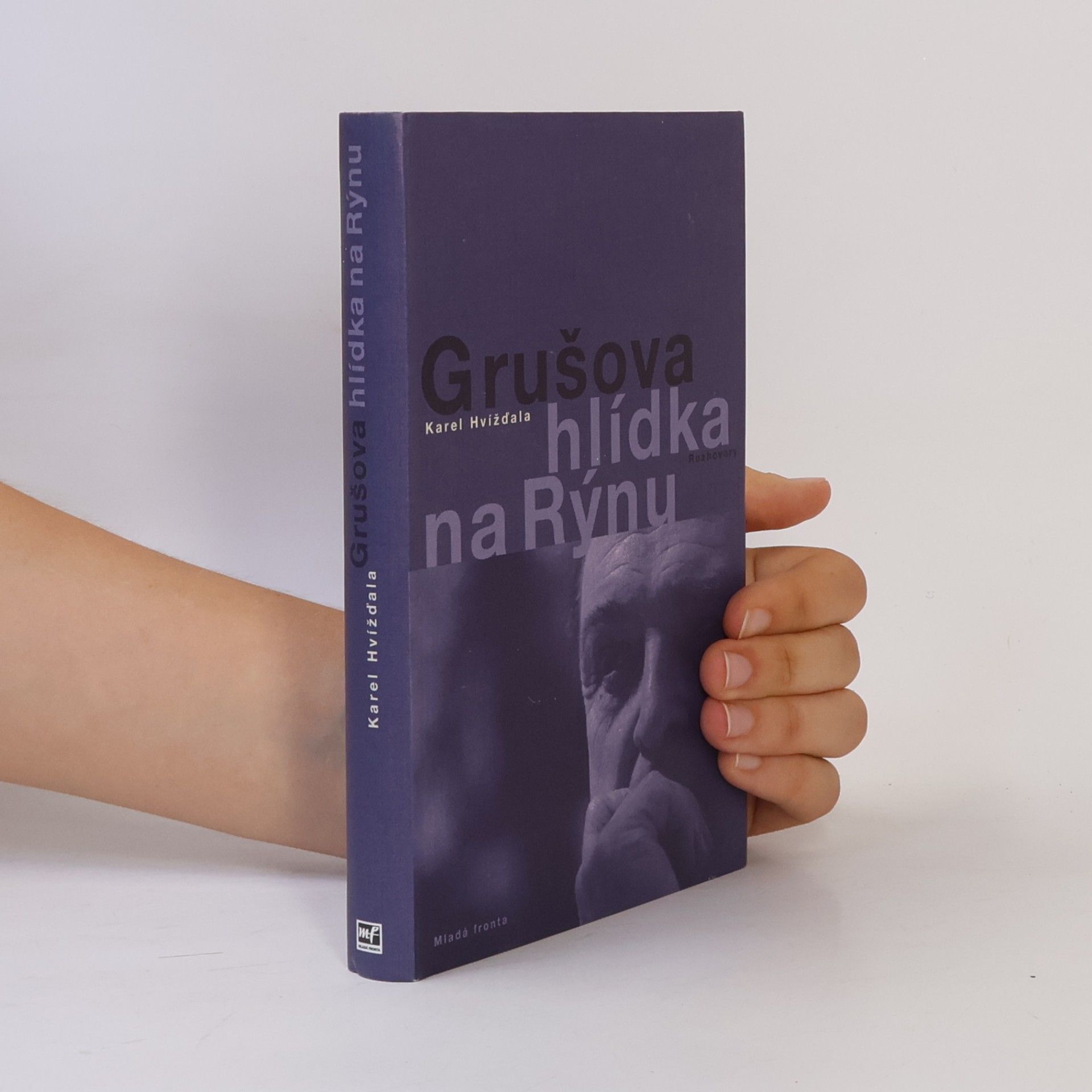 Jiří Gruša Grušova hlídka na Rýnu: Rozhovory z let 1983-2011