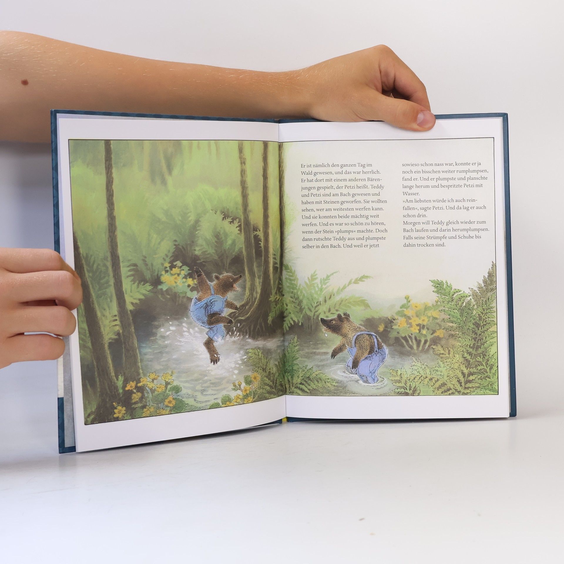 Astrid Lindgren Nein, ich will noch nicht ins Bett