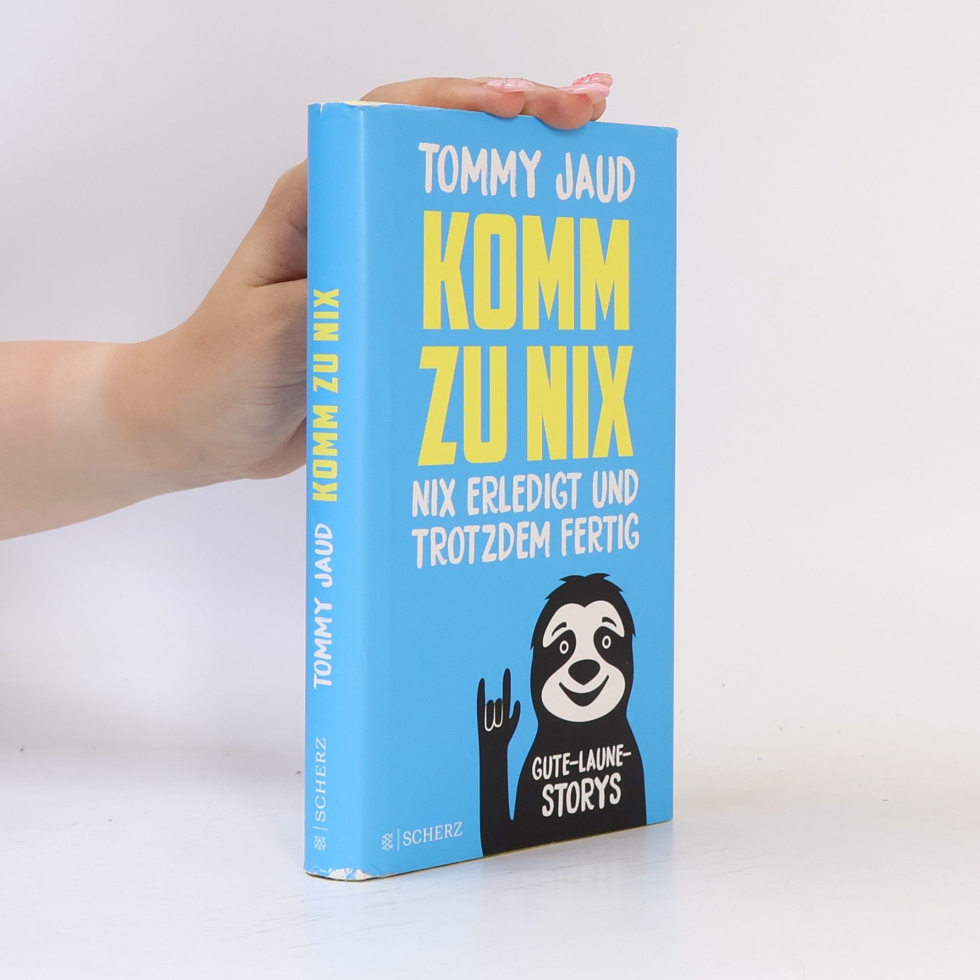 Tommy Jaud Komm zu nix. Nix erledigt und trotzdem fertig
