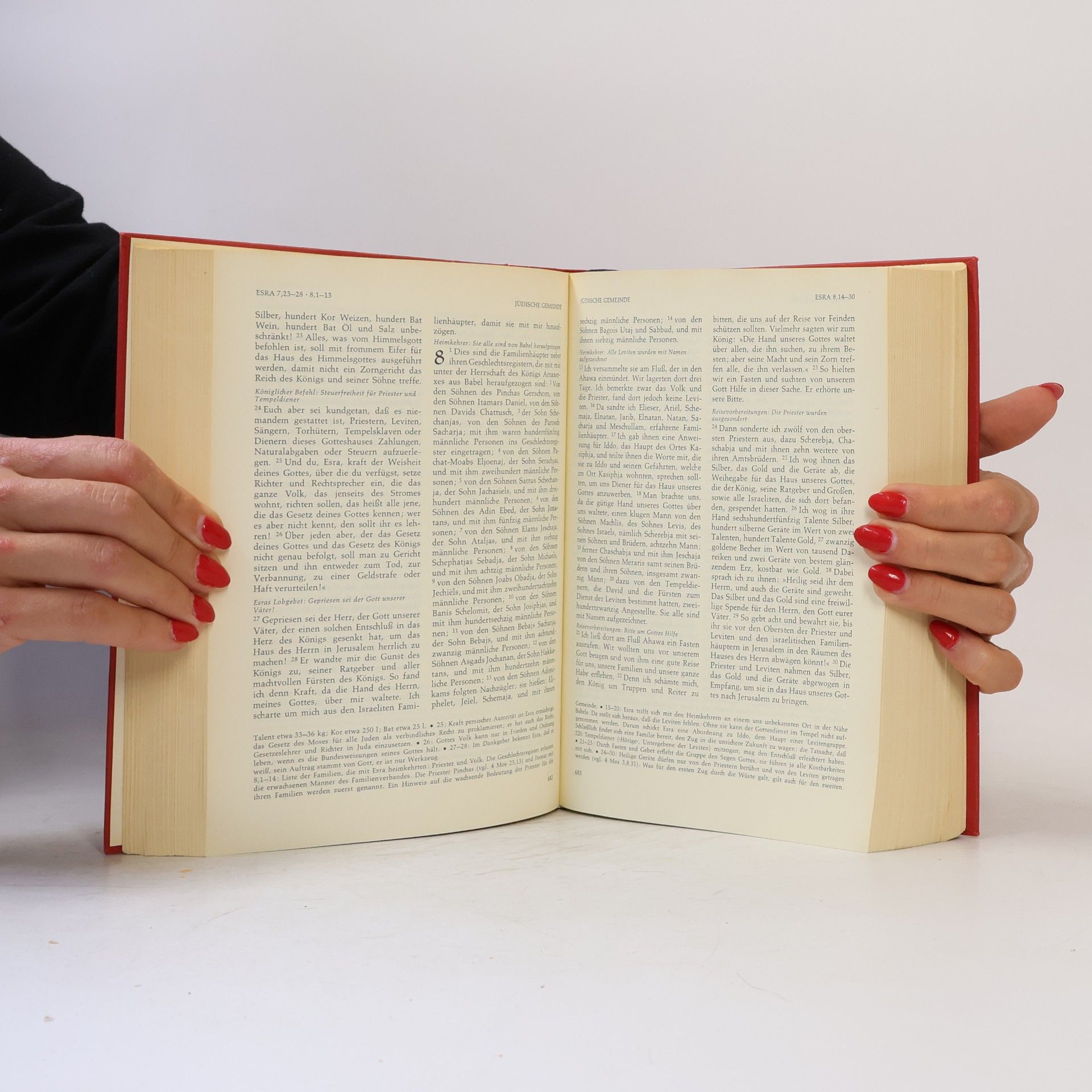 Autorenkollektiv Die Heilige Schrift. Familienbibel