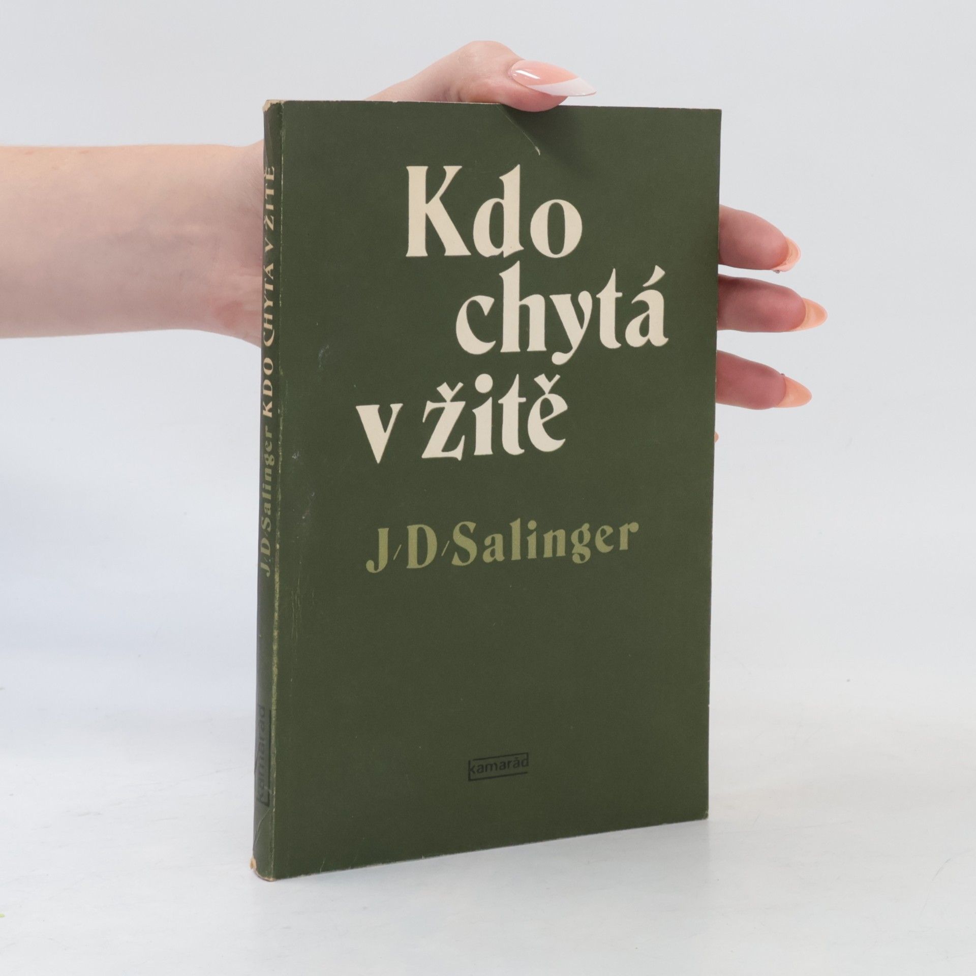 Jerome David Salinger Kdo chytá v žitě