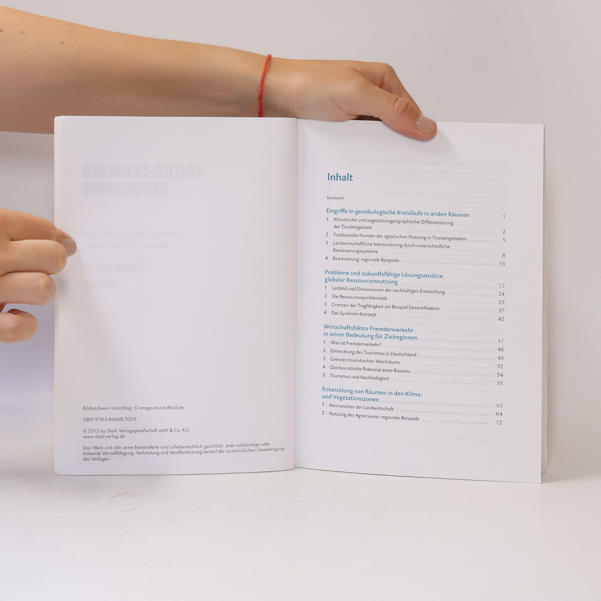 Rainer Koch Abitur-Training: Geographie Oberstufe