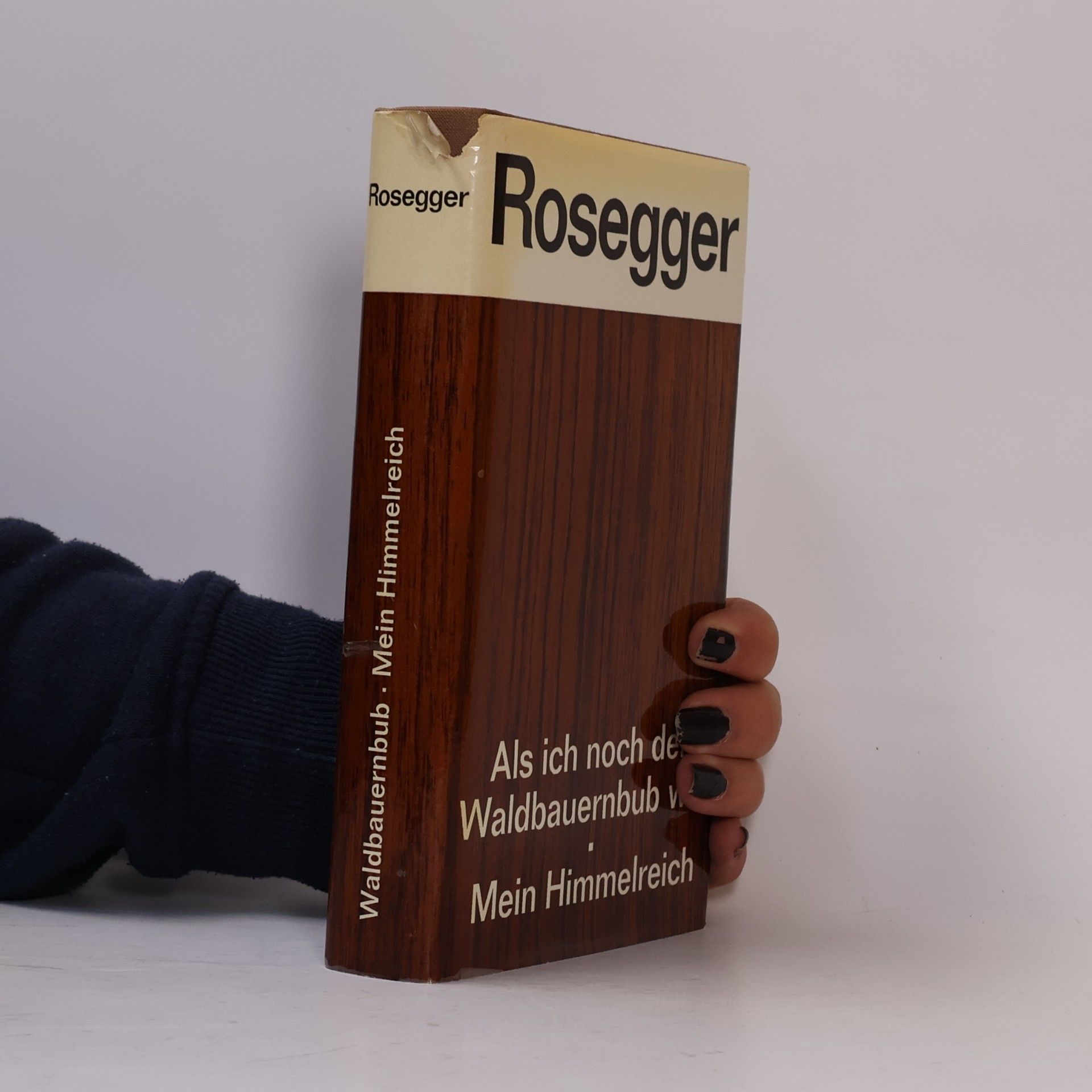 Petr Rosegger Als ich noch der Waldbauernbub war. Mein Himmelreich