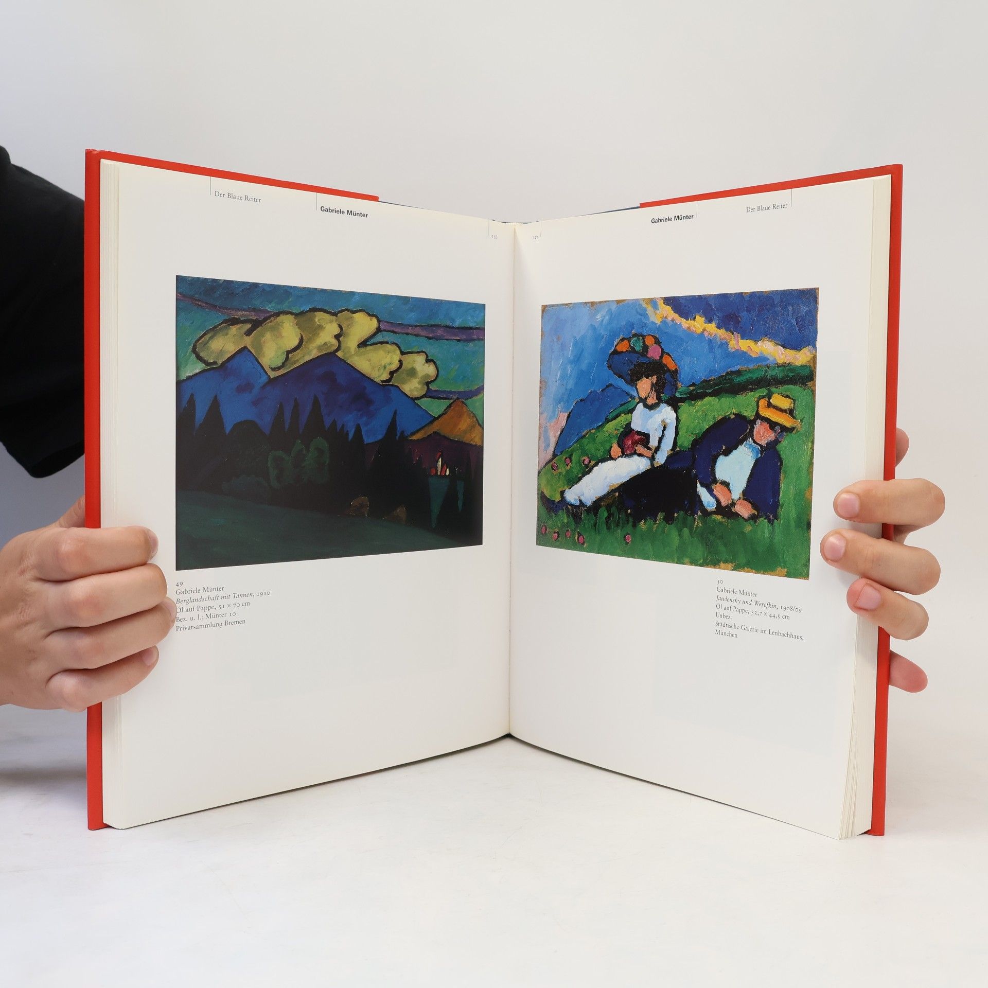Christine Hopfengart Der Blaue Reiter