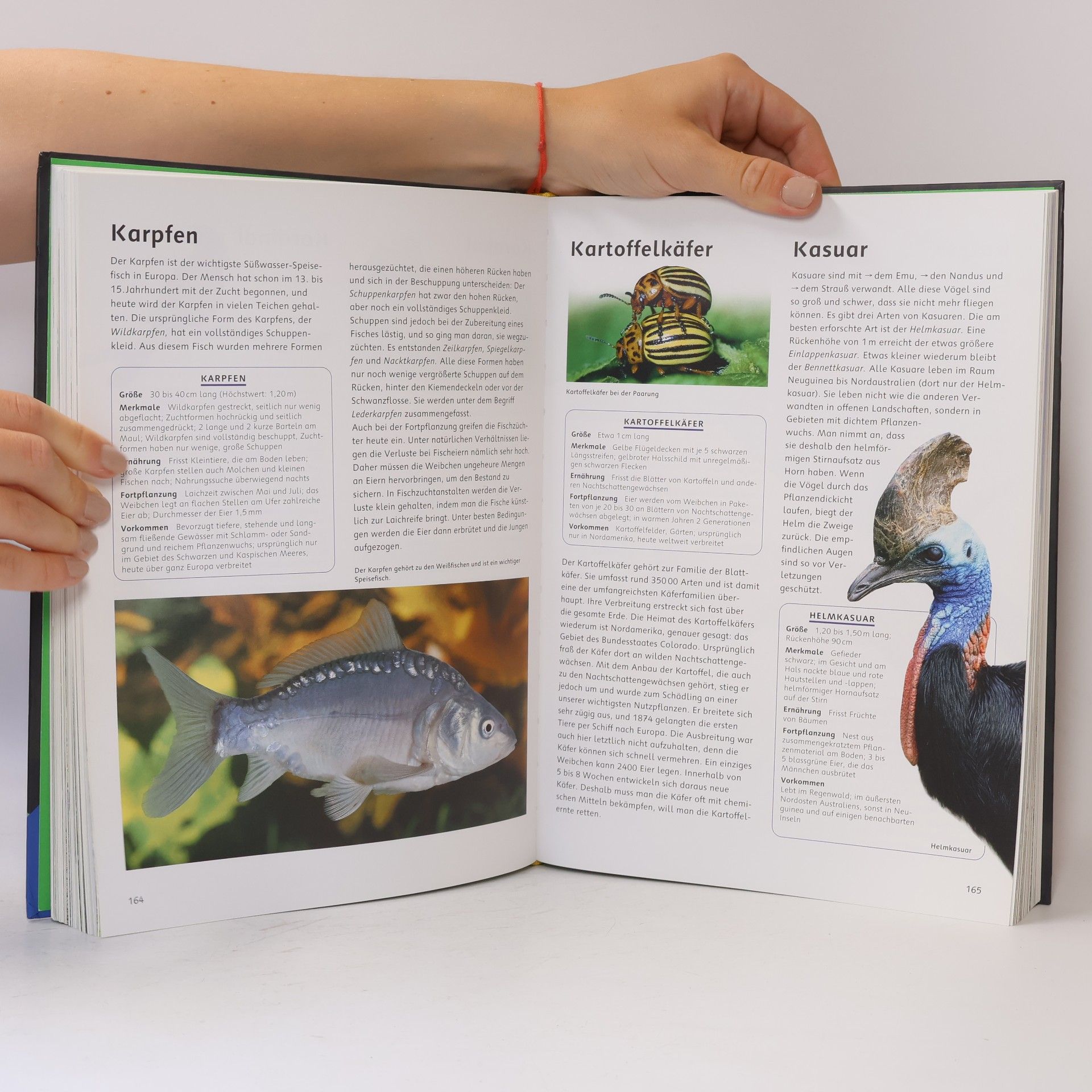 Eckart Pott Das große Ravensburger Tierlexikon von A - Z