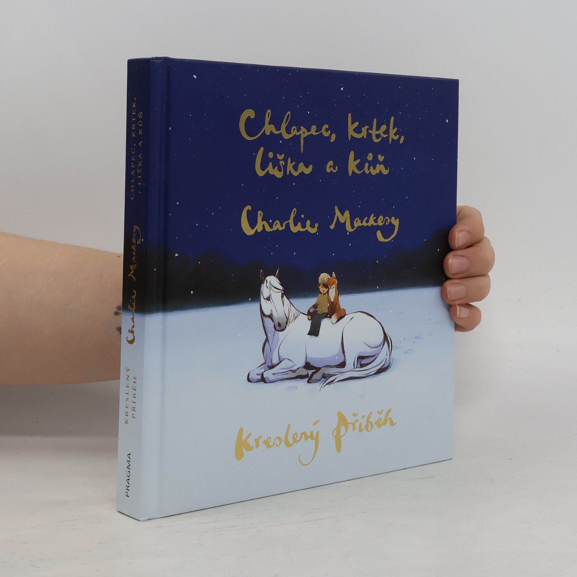 Charlie Mackesy Chlapec, krtek, liška a kůň : kreslený příběh