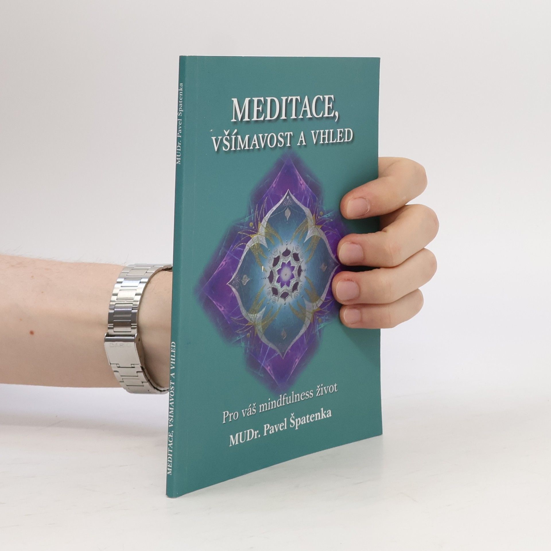 Pavel Špatenka Meditace, všímavost a vhled