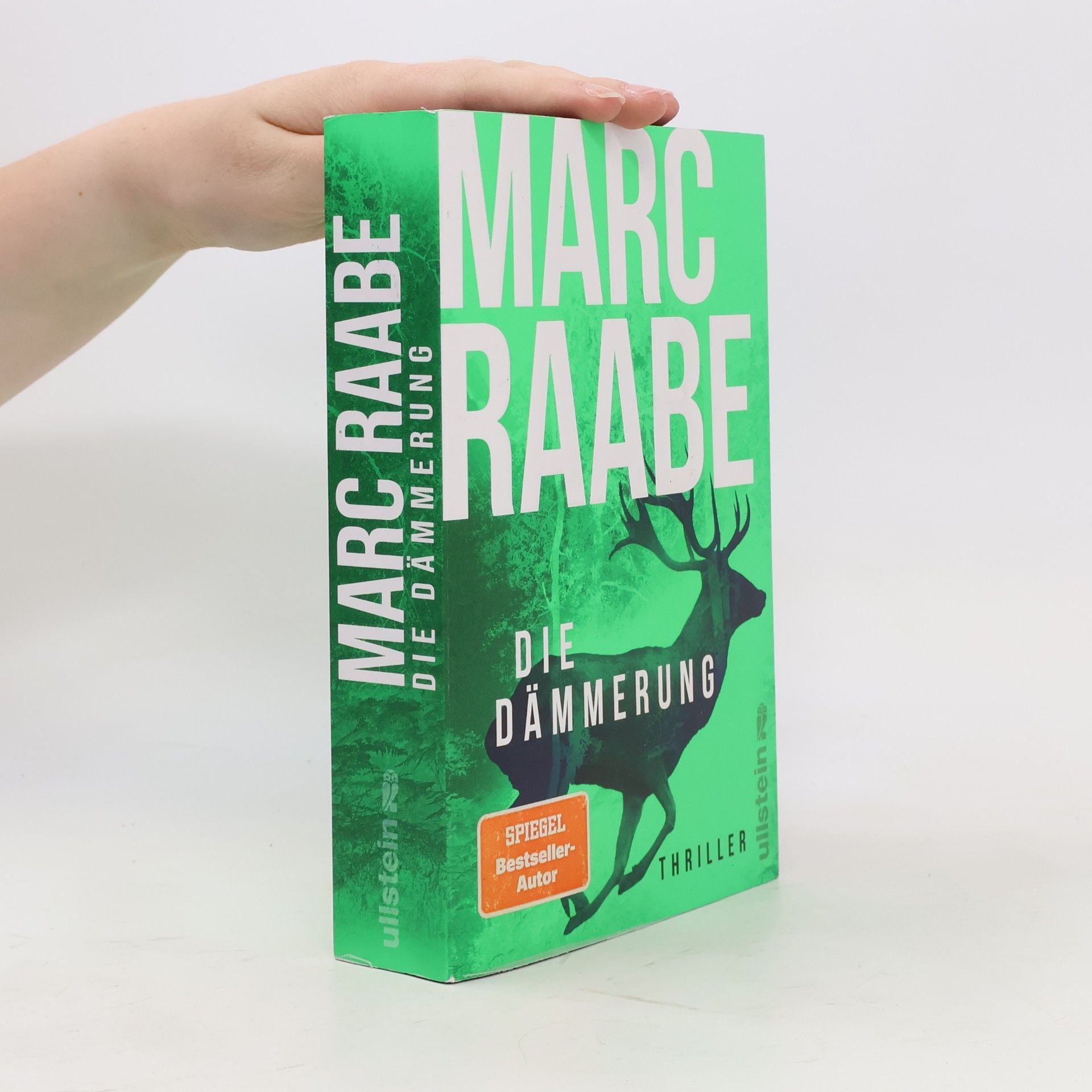 Marc Raabe Die Dämmerung