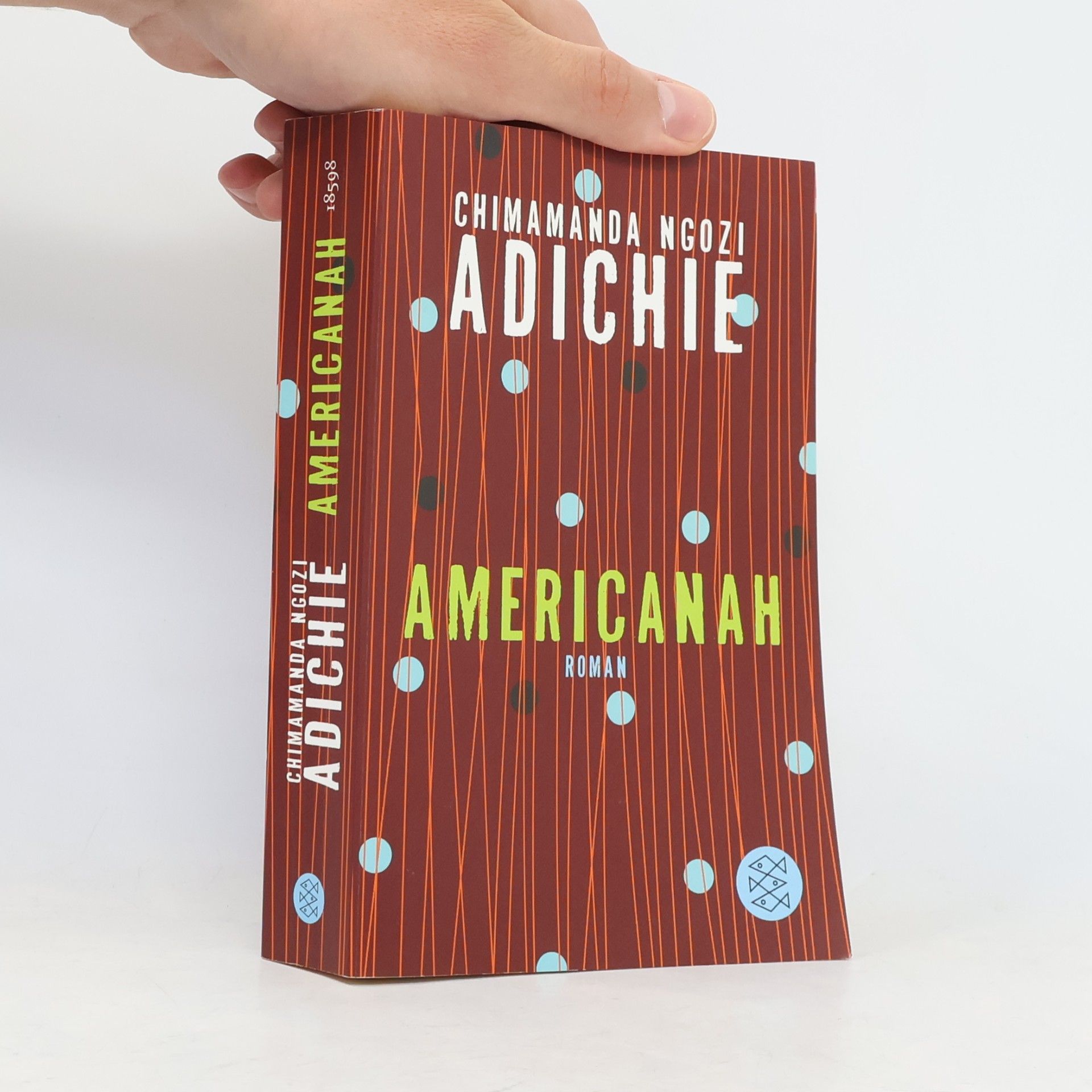 Chimamanda Ngozi Adichie Americanah