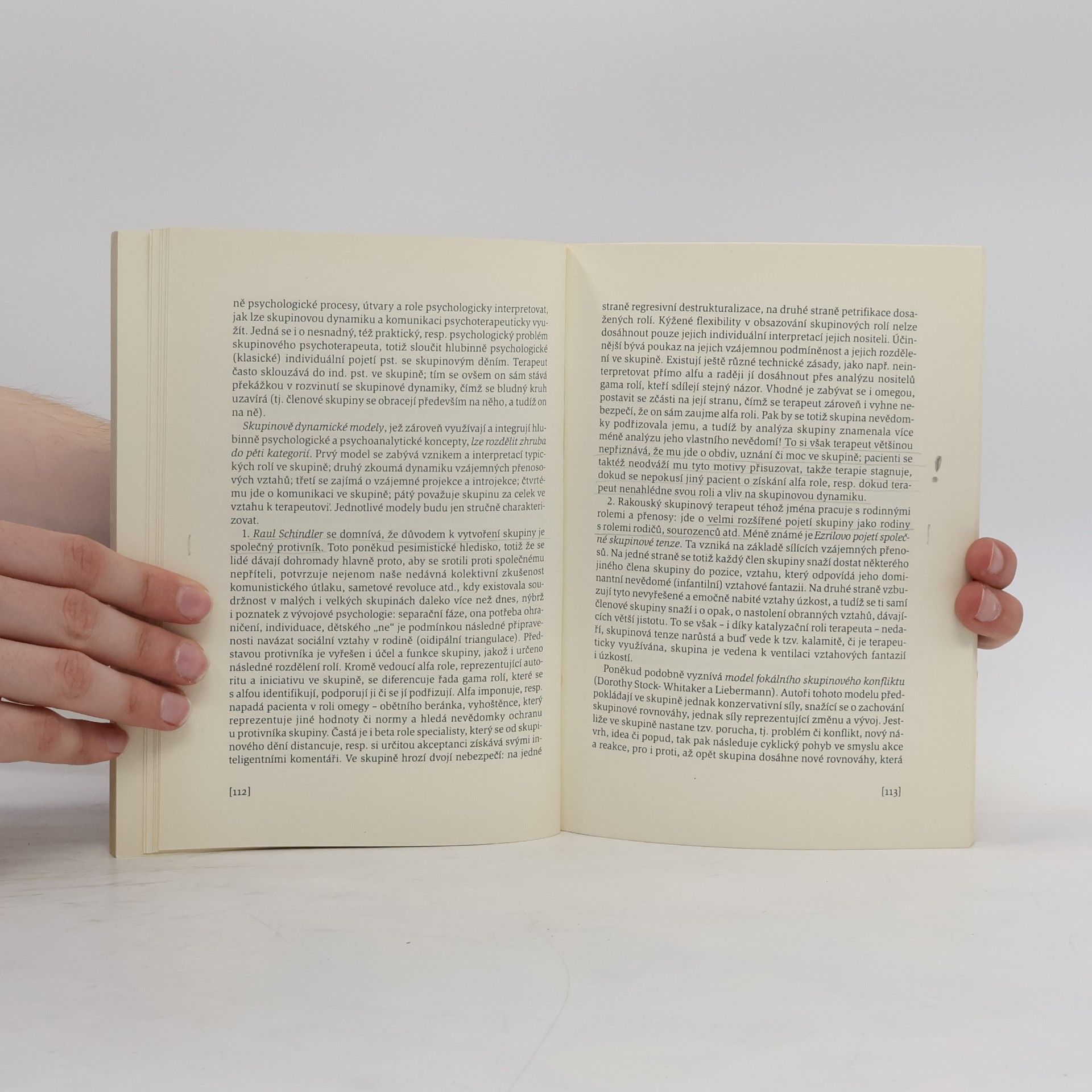 Autorenkollektiv Psychoterapie IV. Sborník přednášek