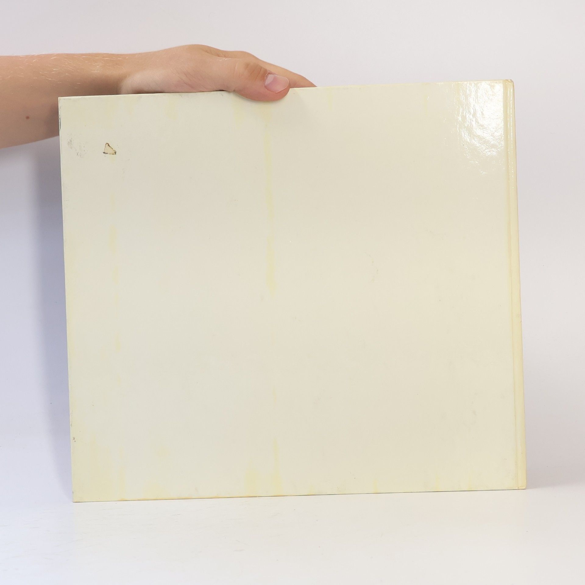 Walter Schmögner Traumbuch für Kinder