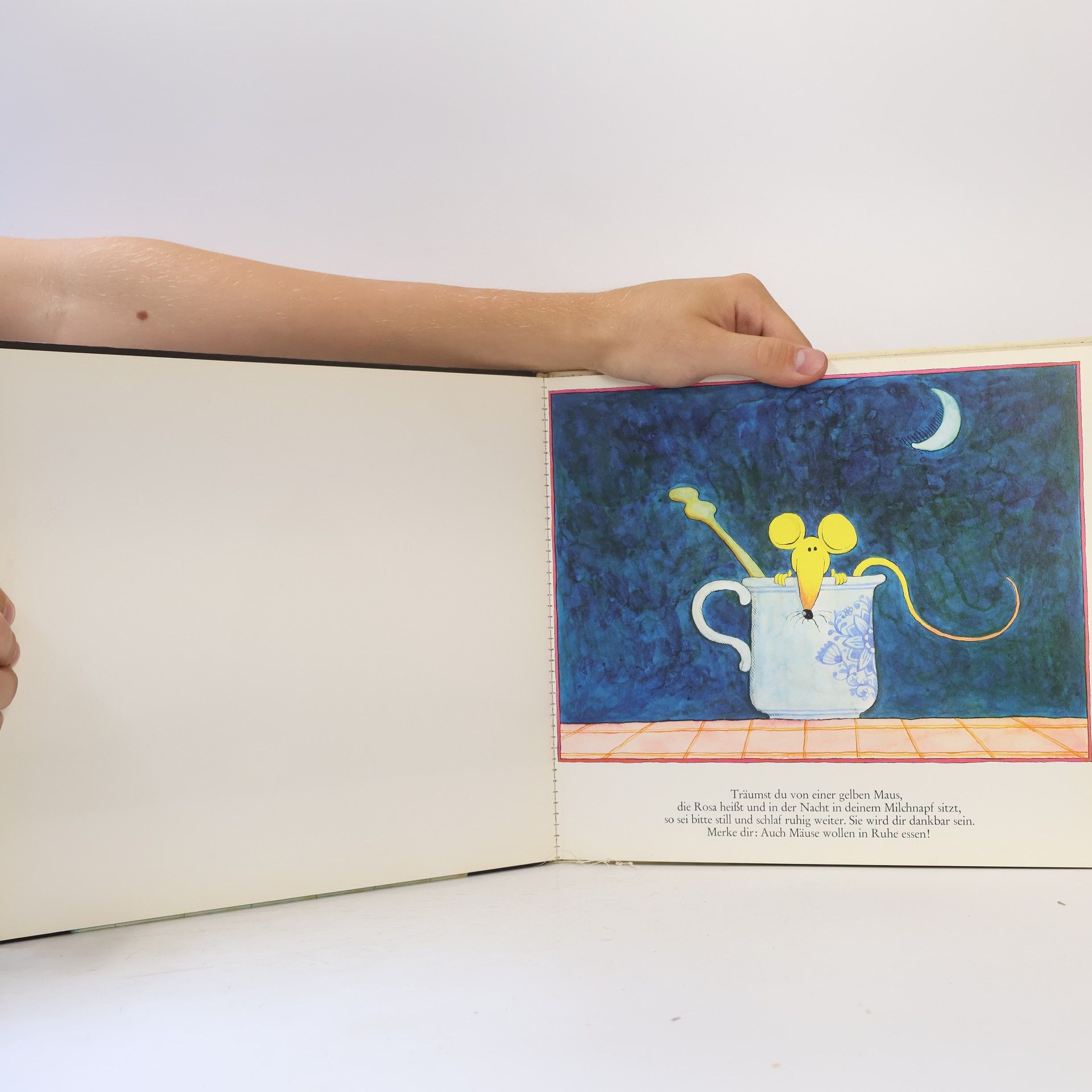 Walter Schmögner Traumbuch für Kinder