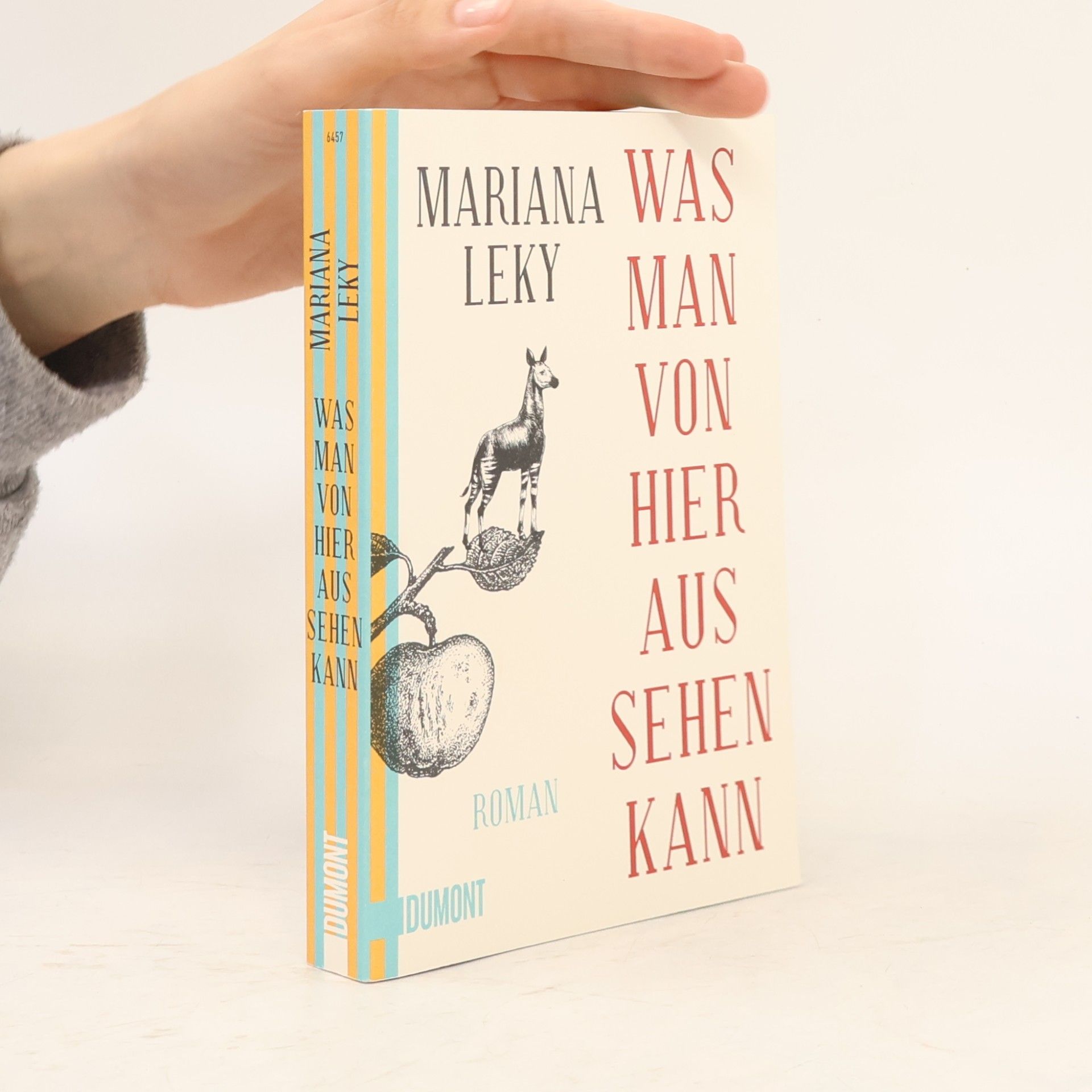Mariana Leky Was man von hier aus sehen kann