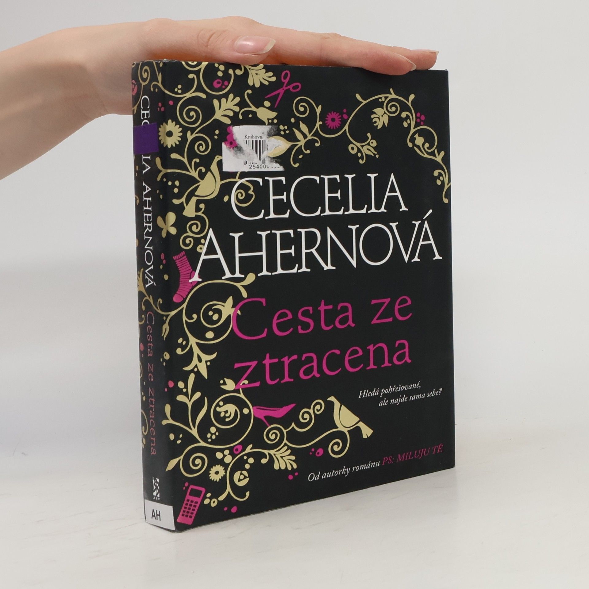 Cecelia Ahern Cesta ze ztracena