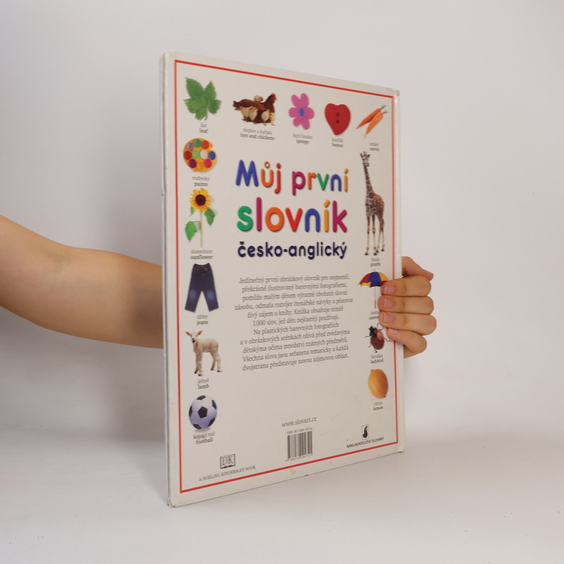 Angela Wilkes Můj první slovník. Česko-anglický