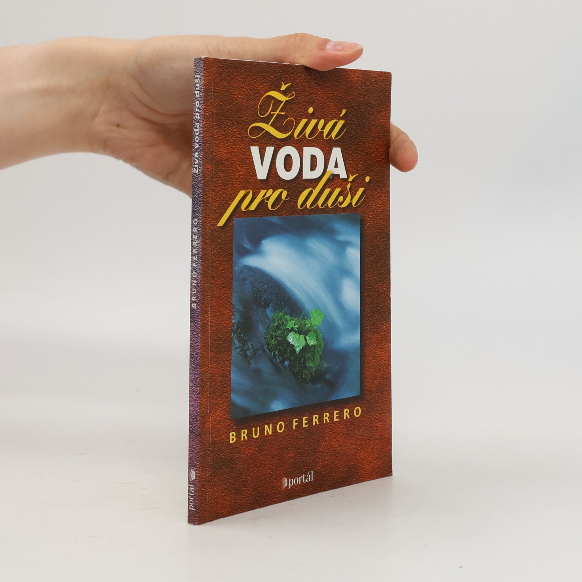 Bruno Ferrero Živá voda pro duši