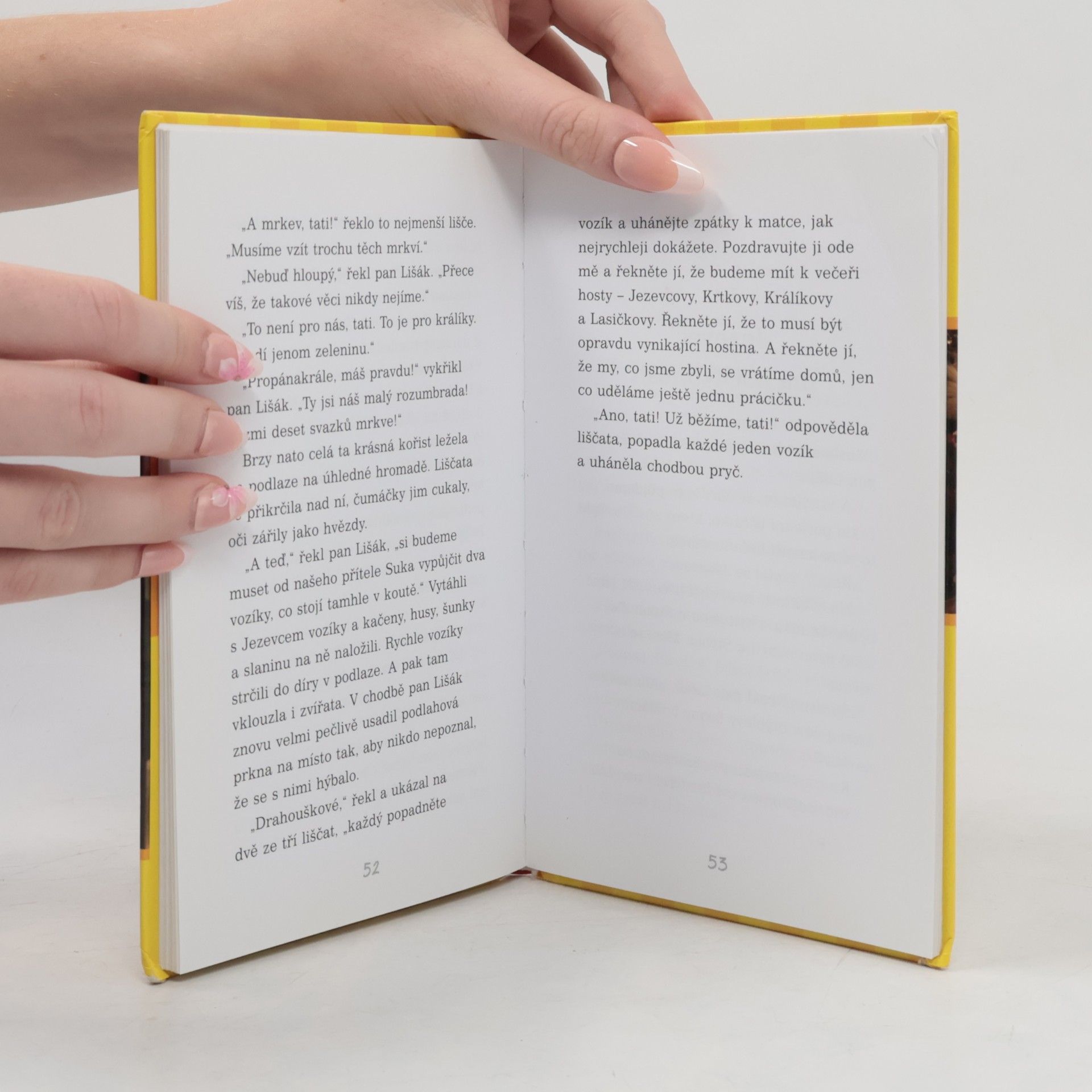 Roald Dahl Fantastický pan Lišák