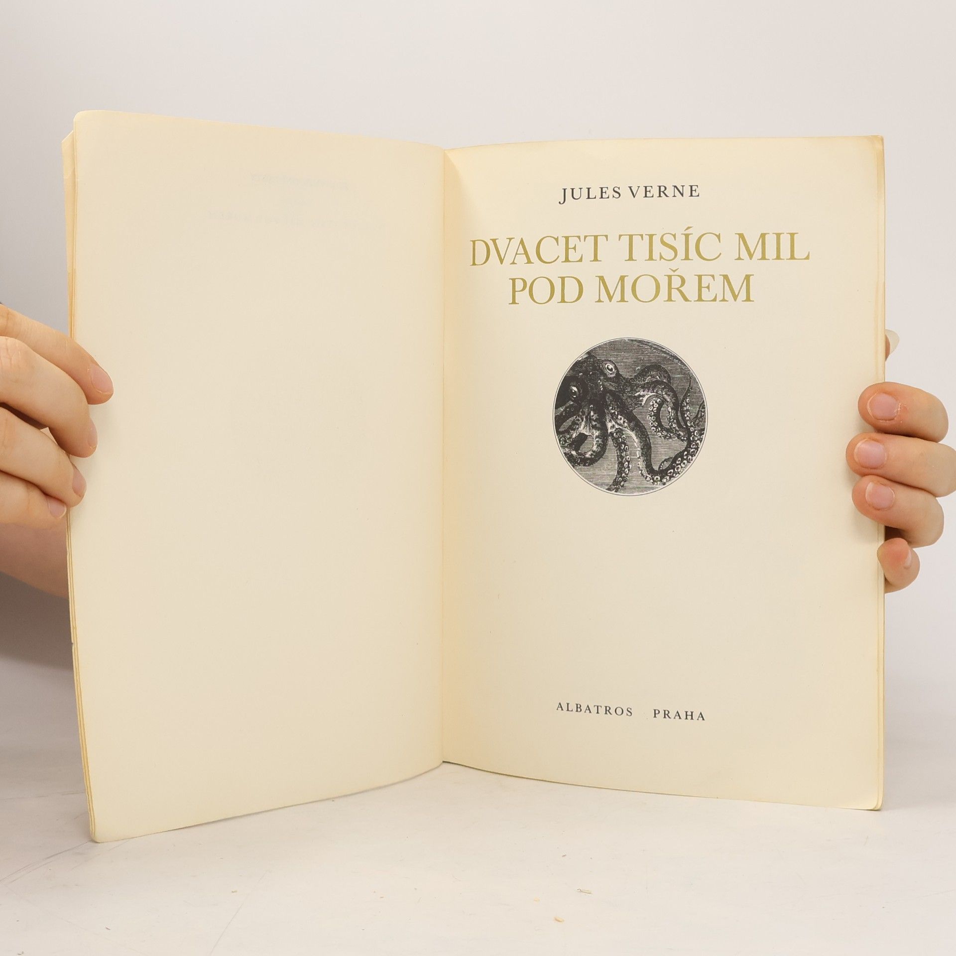 Jules Verne Dvacet tisíc mil pod mořem