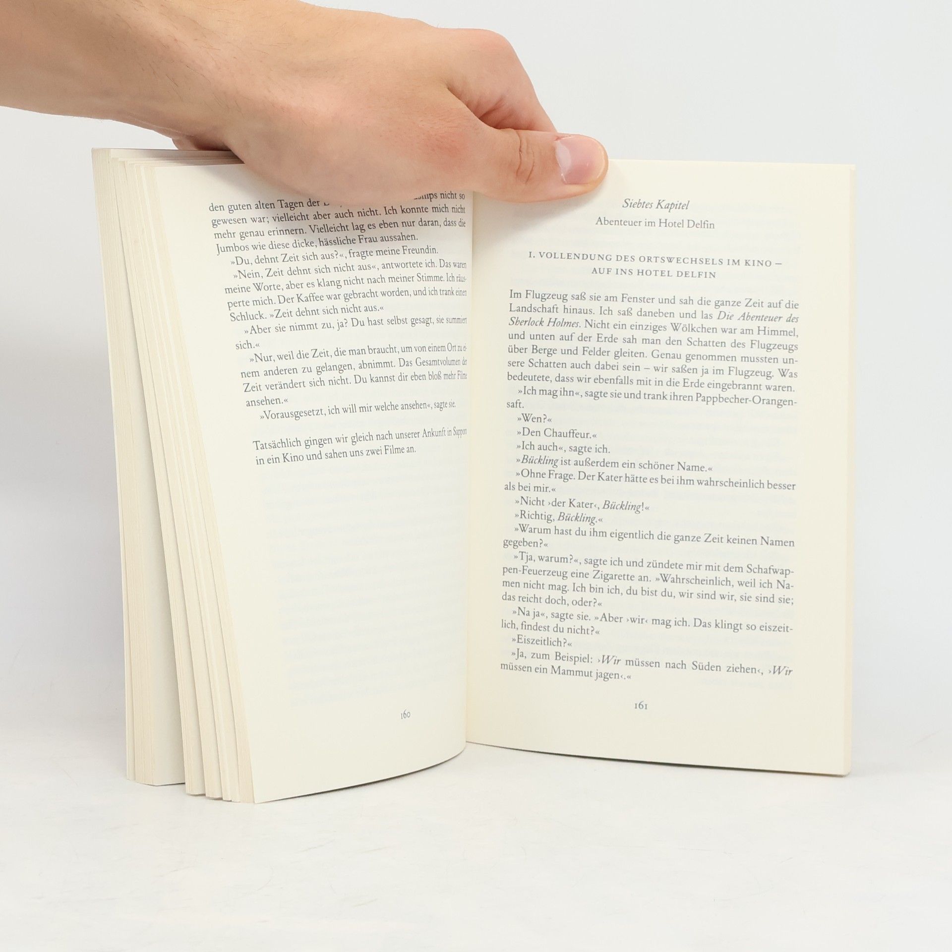 Haruki Murakami Wilde Schafsjagd