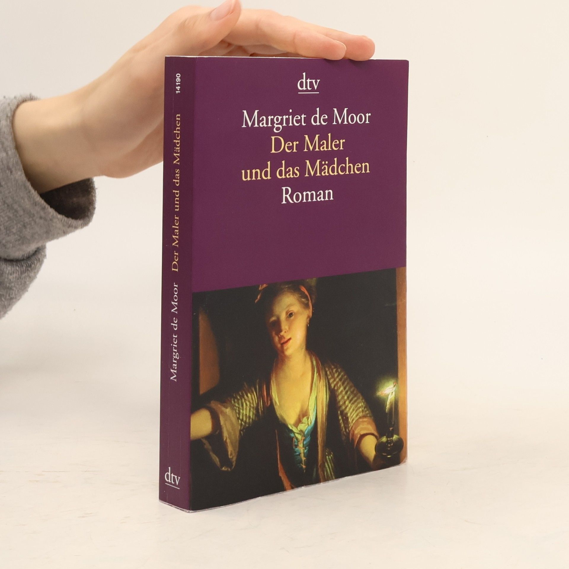 Margriet de Moor Der Maler und das Mädchen