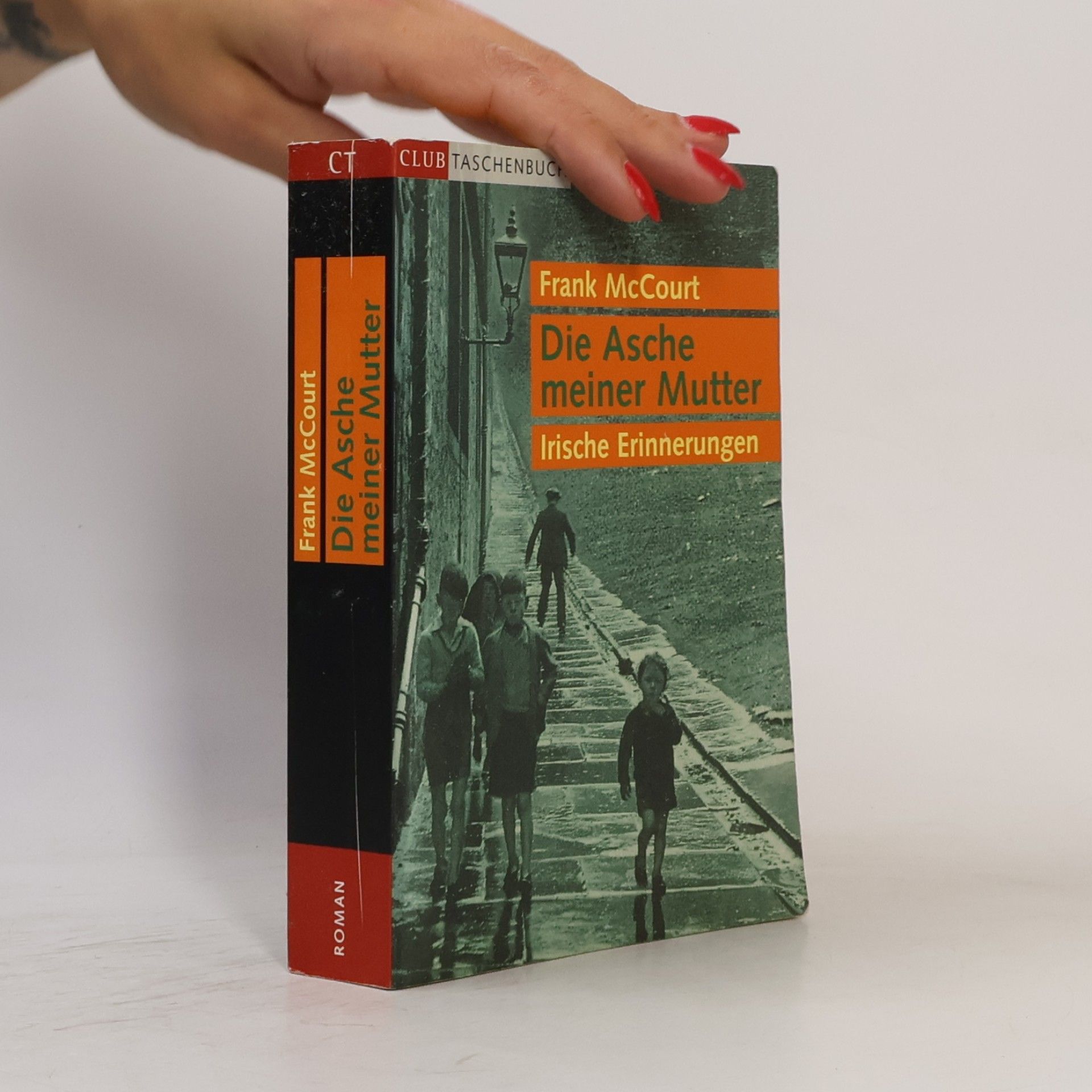 Frank McCourt Die Asche meiner Mutter