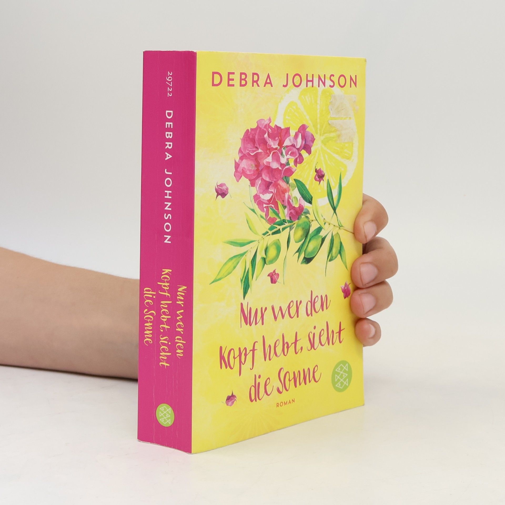 Debra Johnson Nur wer den Kopf hebt, sieht die Sonne