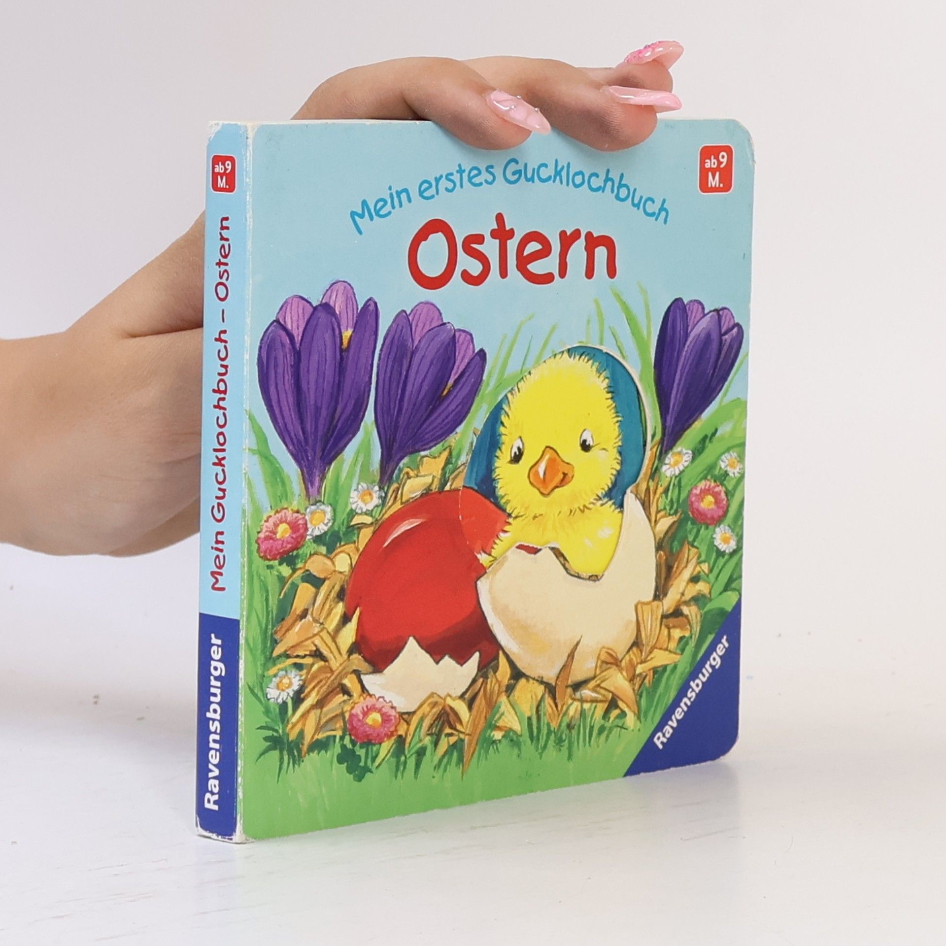 Antje Flad Mein erstes Gucklochbuch - Ostern