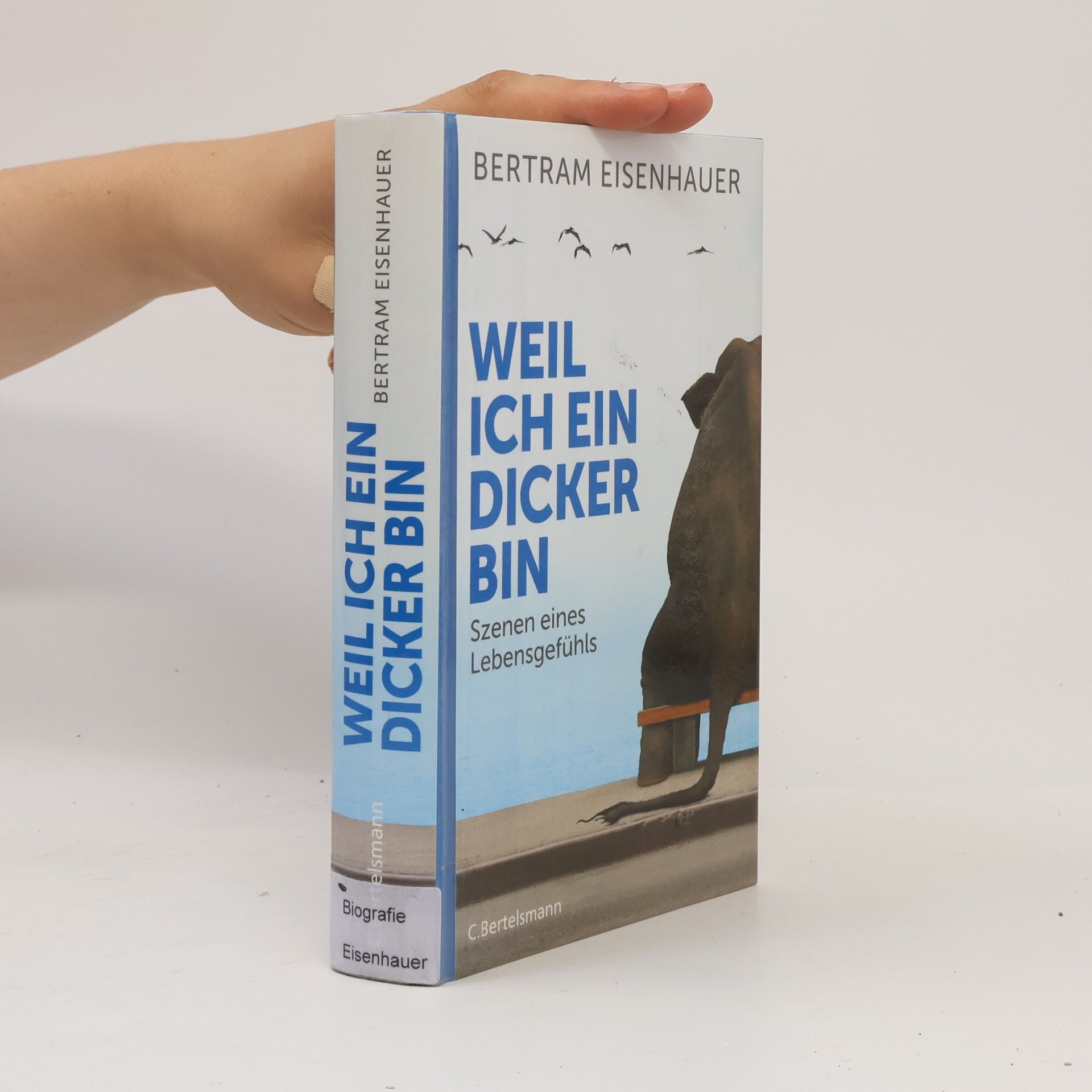Bertram Eisenhauer Weil ich ein Dicker bin