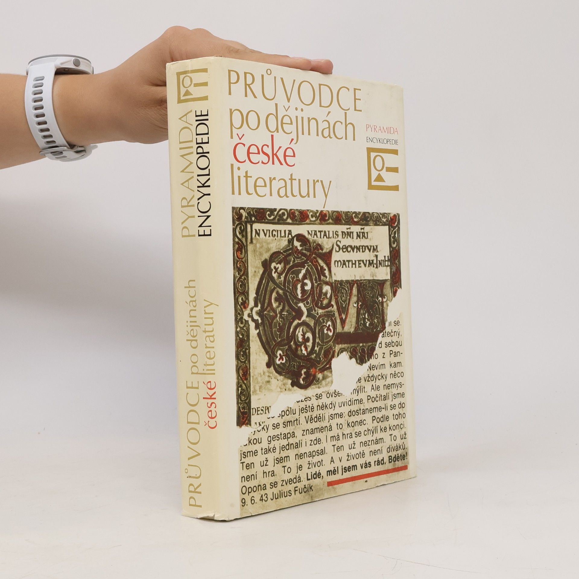 Josef Hrabák Průvodce po dějinách české literatury