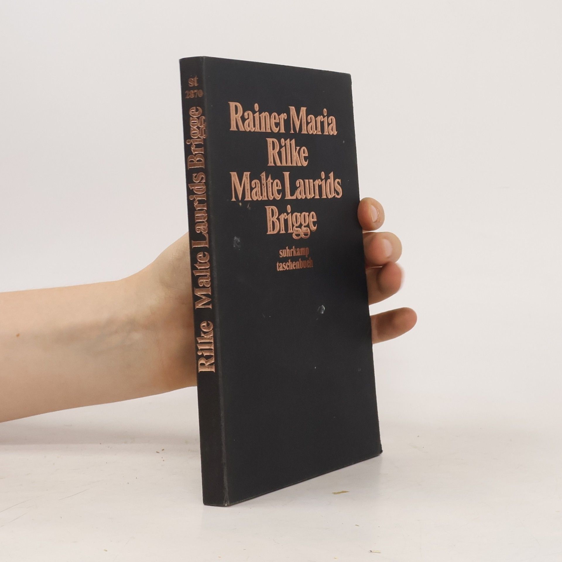 Rainer Maria Rilke Die Aufzeichnungen des Malte Laurids Brigge