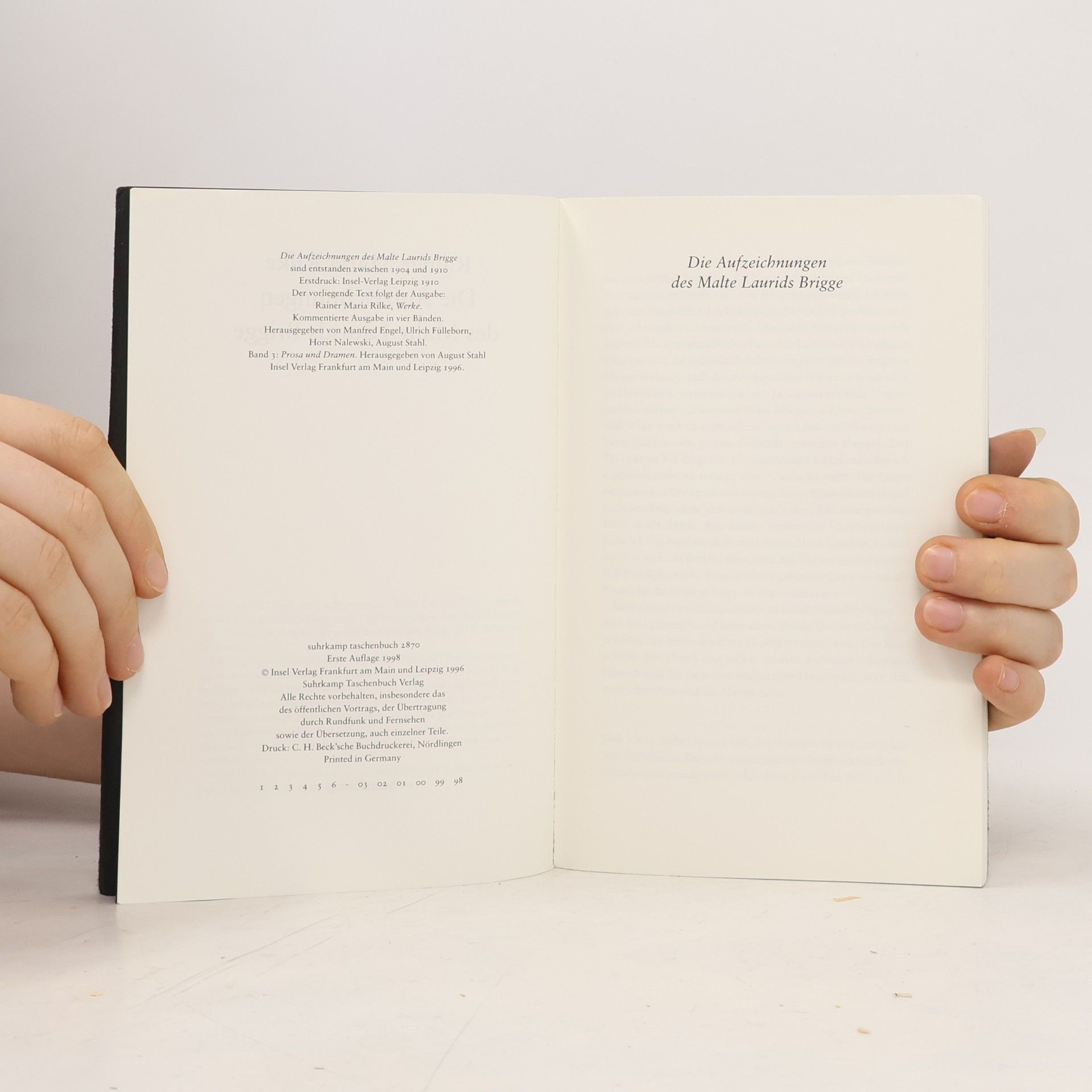 Rainer Maria Rilke Die Aufzeichnungen des Malte Laurids Brigge