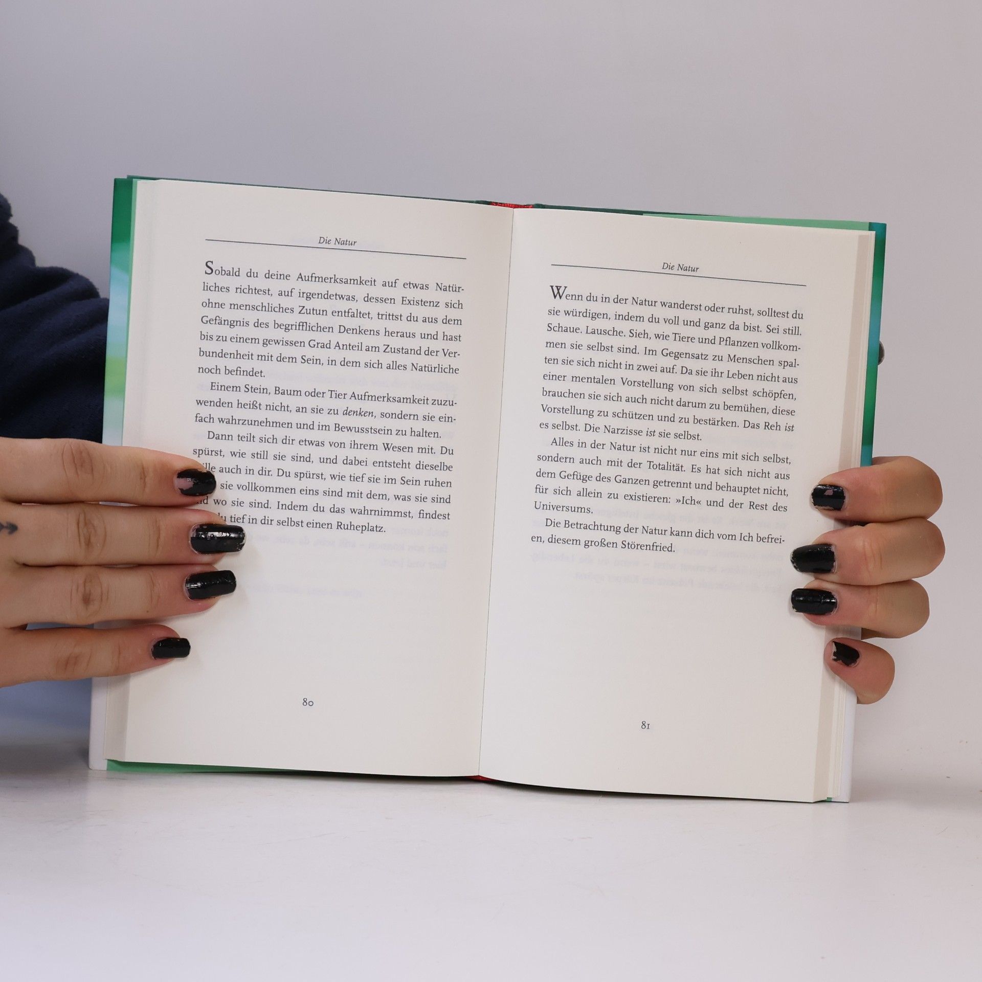 Eckhart Tolle Stille spricht
