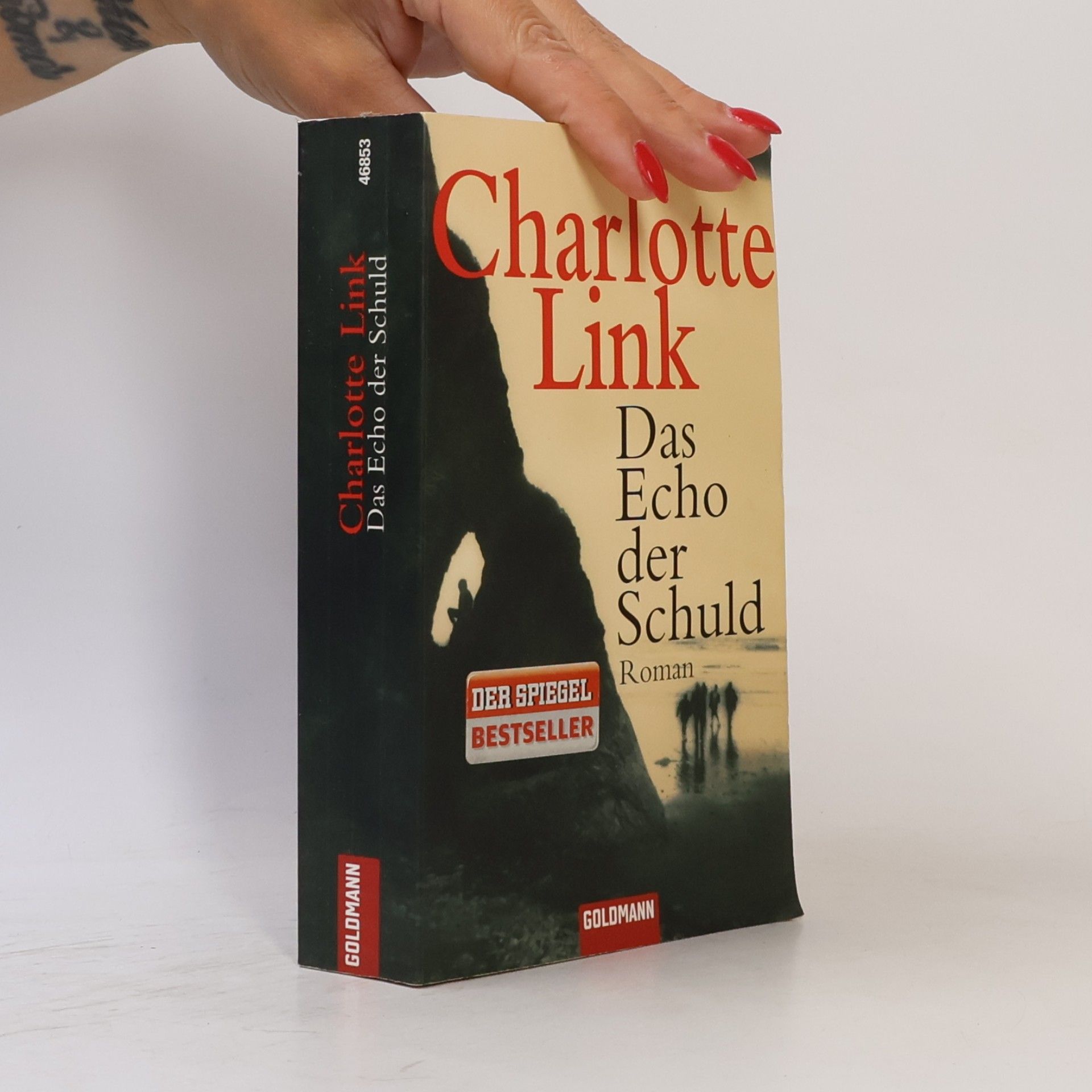 Charlotte Link Das Echo der Schuld