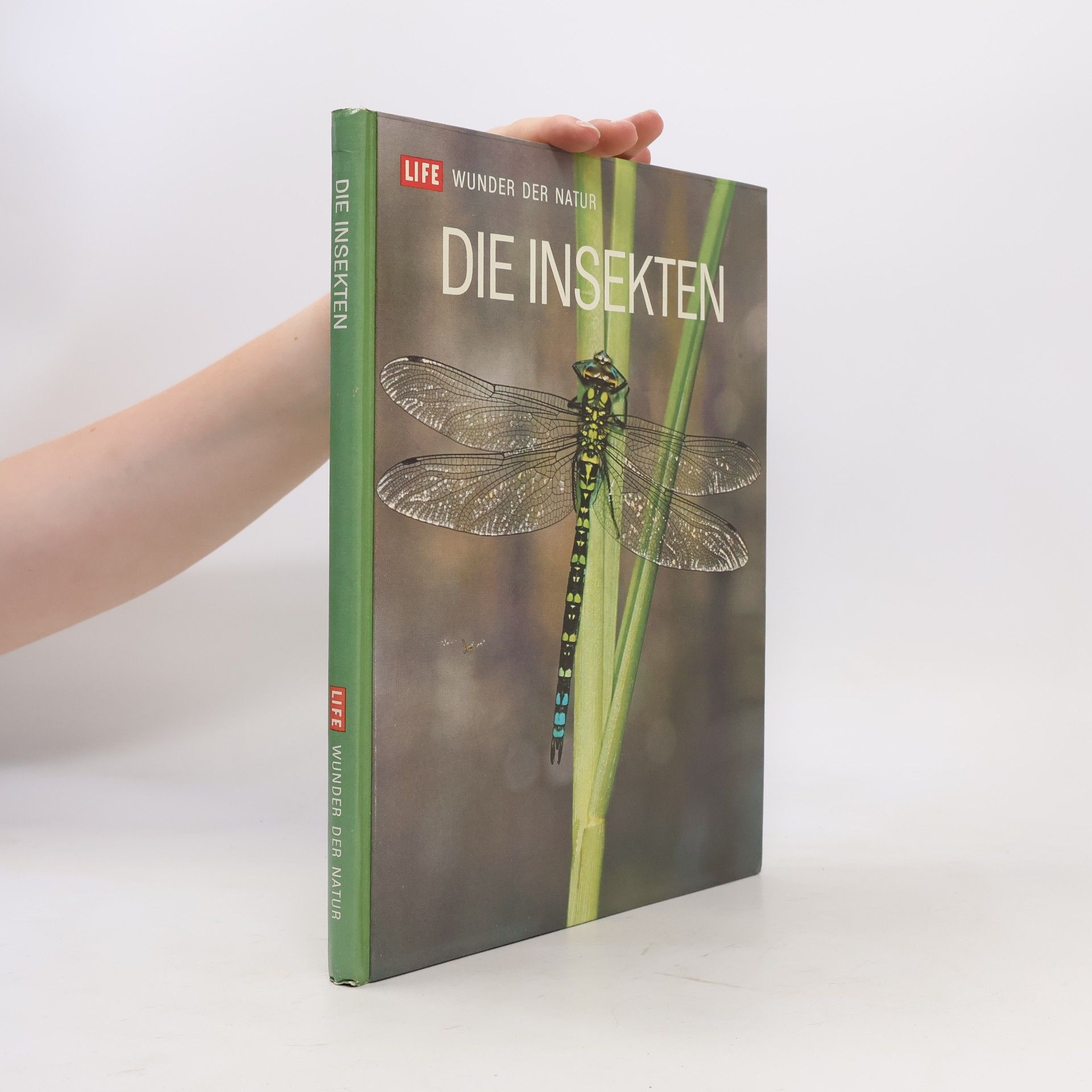 Autorenkollektiv Die insekten