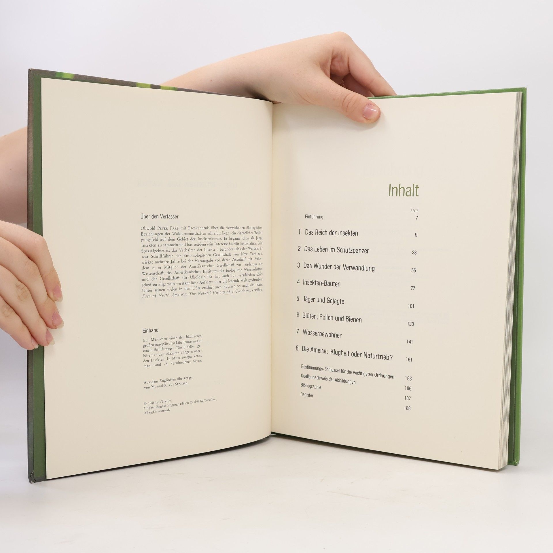Autorenkollektiv Die insekten