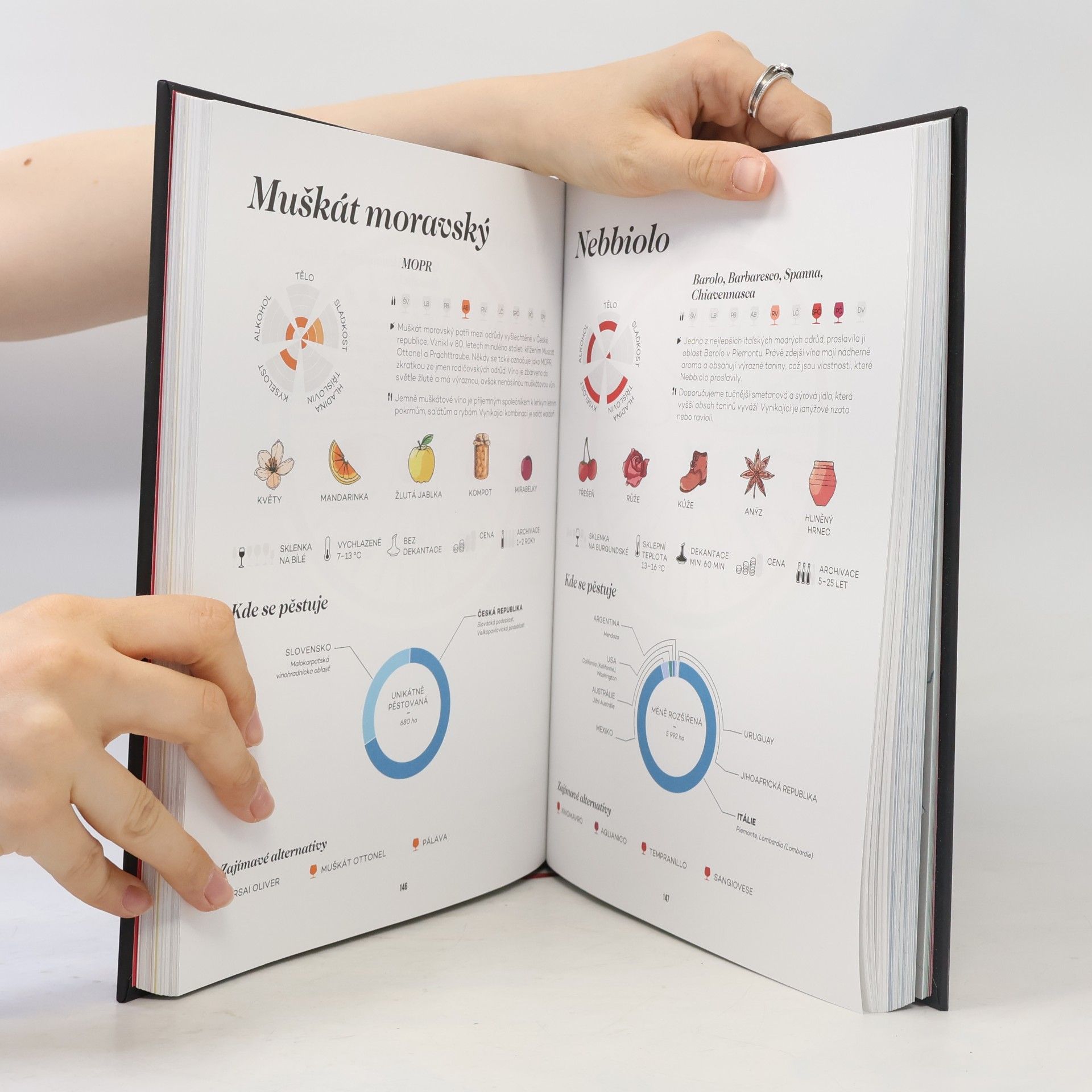 Rani Tolimat Bible vína. Mistrovský průvodce vínem