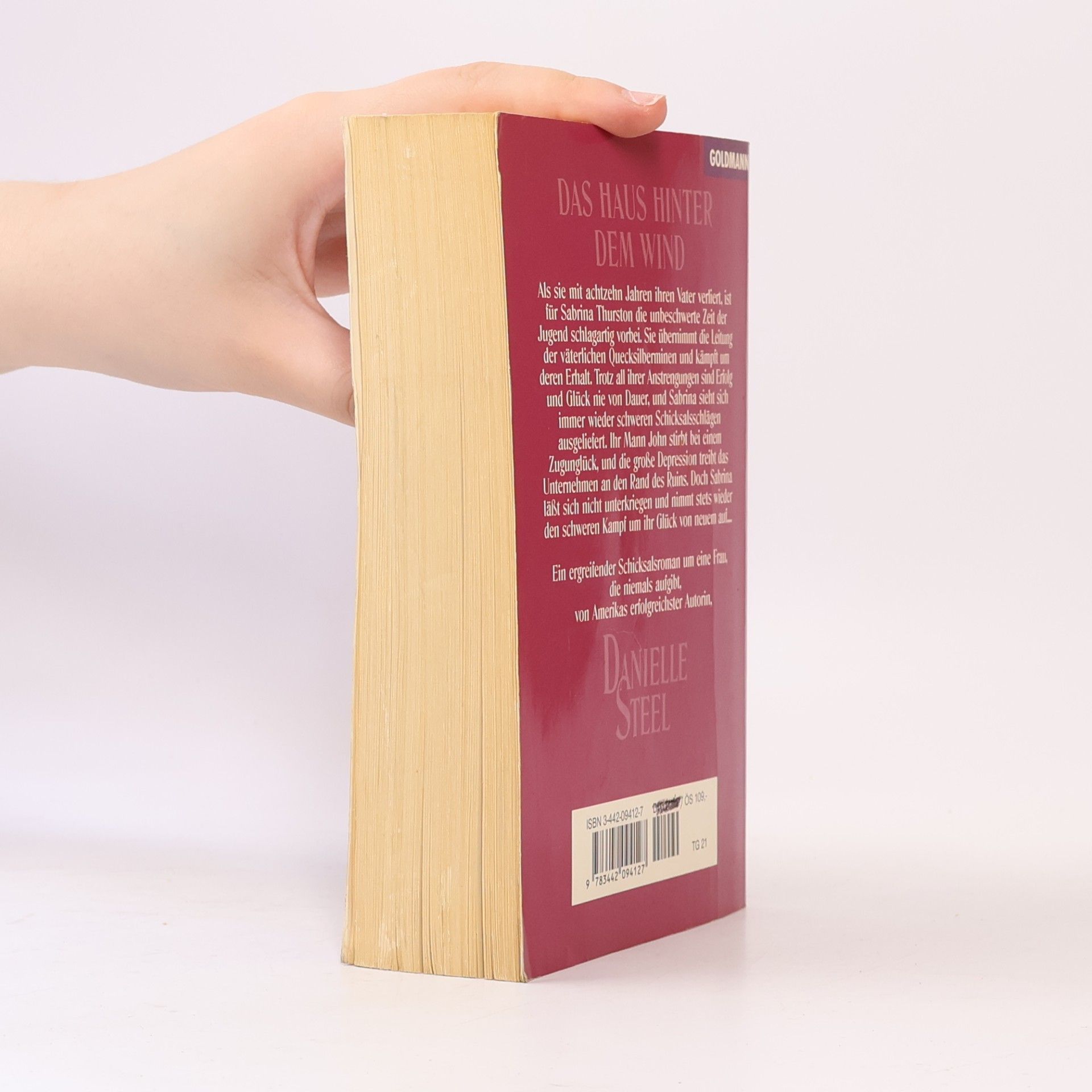 Danielle Steel Das Haus hinter dem Wind