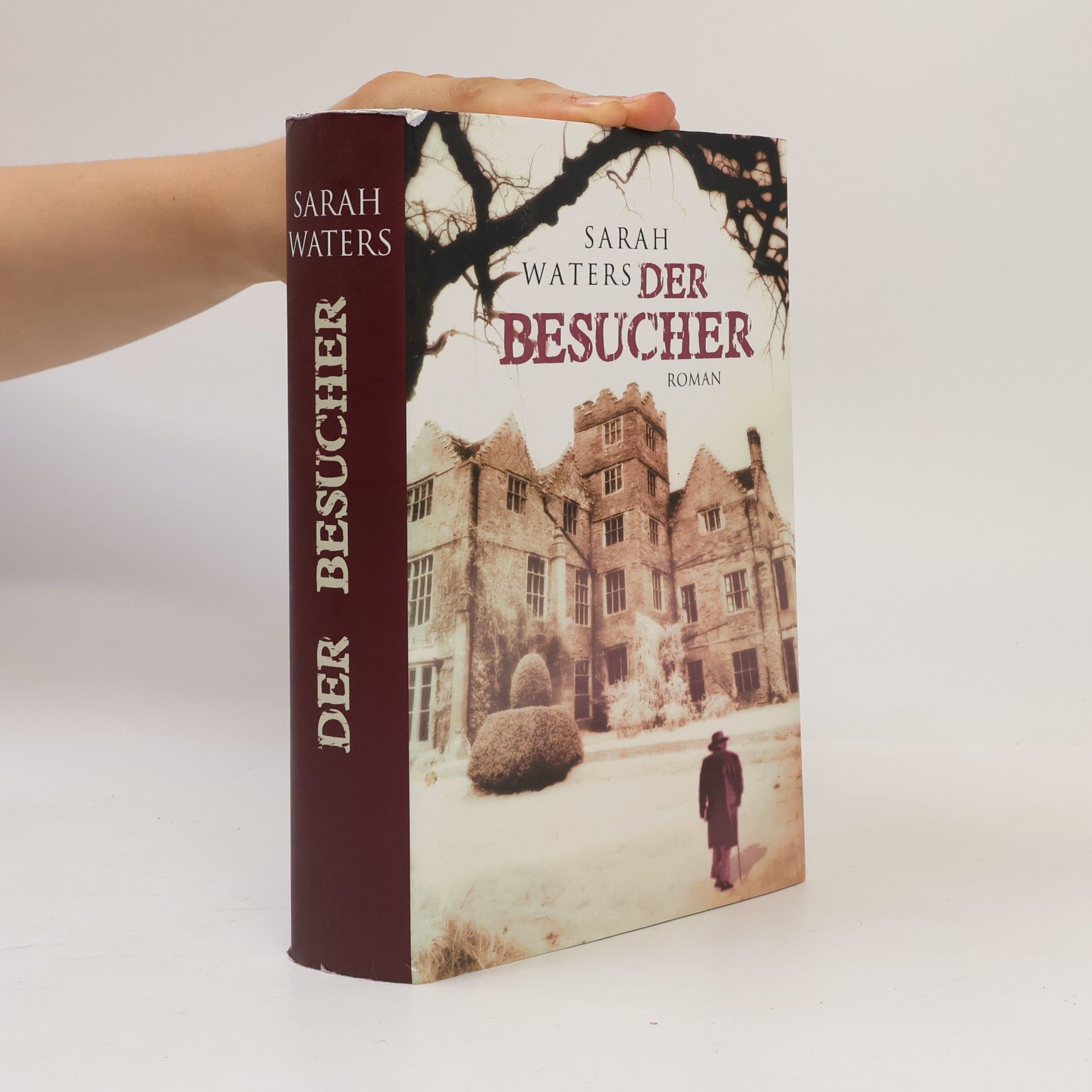 Sarah Waters Der Besucher