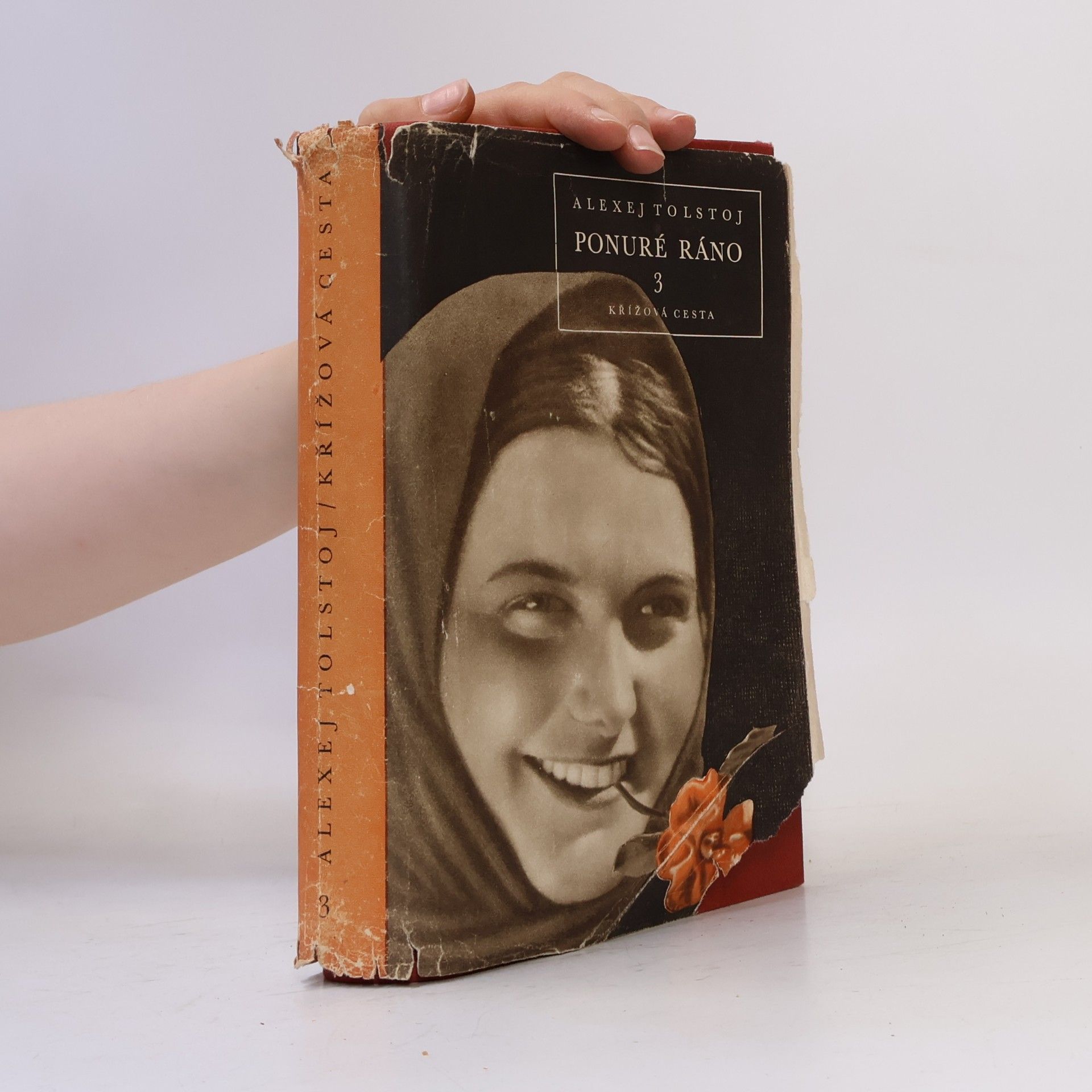 Lev Nikolajevič Tolstoj Křížová cesta 3. Ponuré ráno