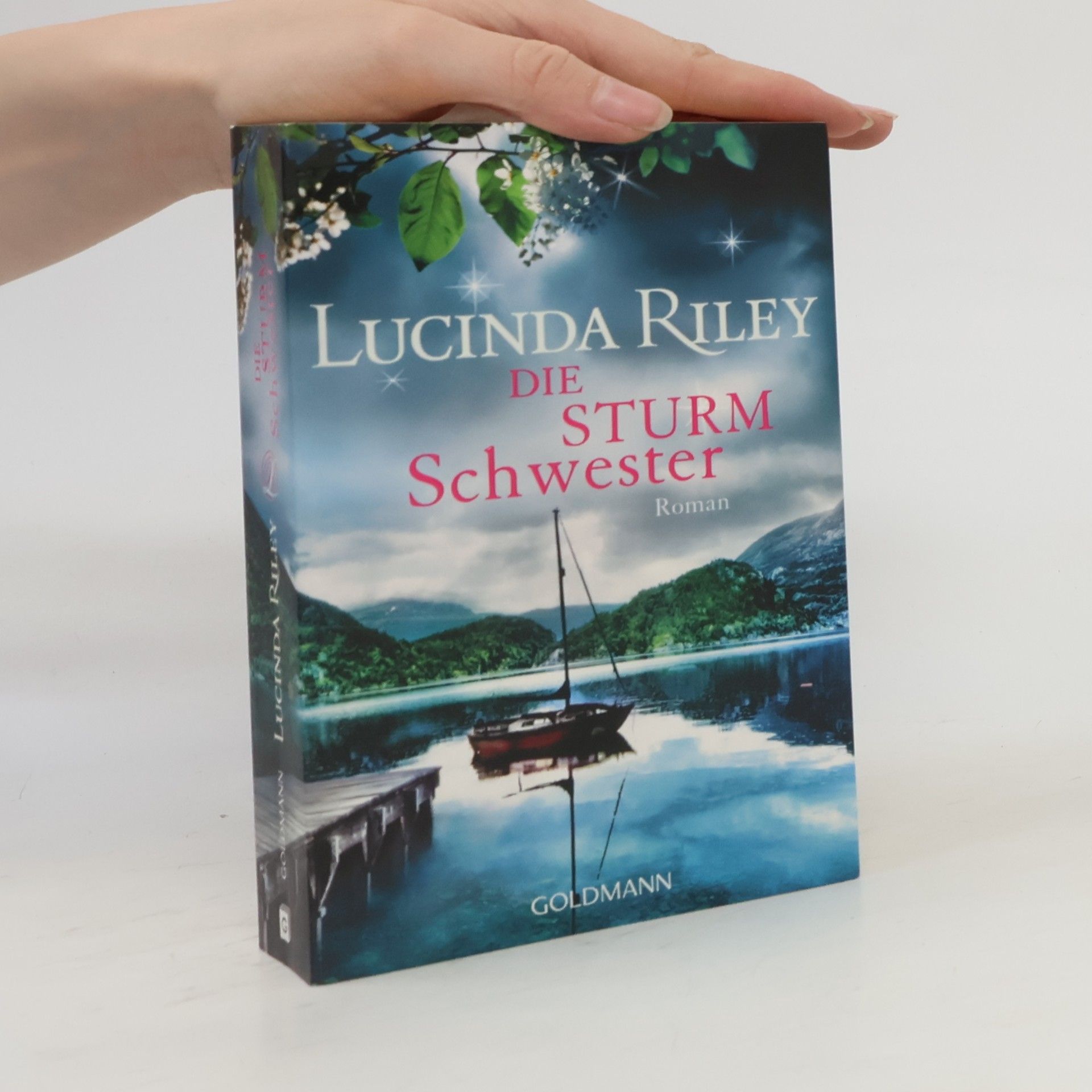 Lucinda Riley Die Sturmschwester