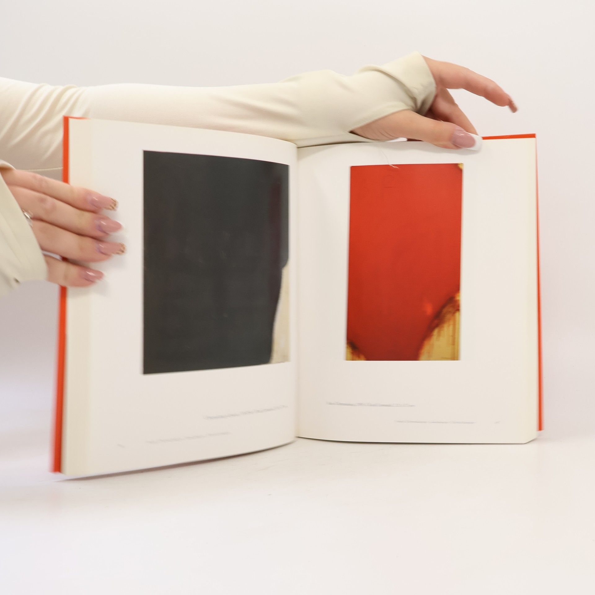 Carl Aigner Arnulf Rainer