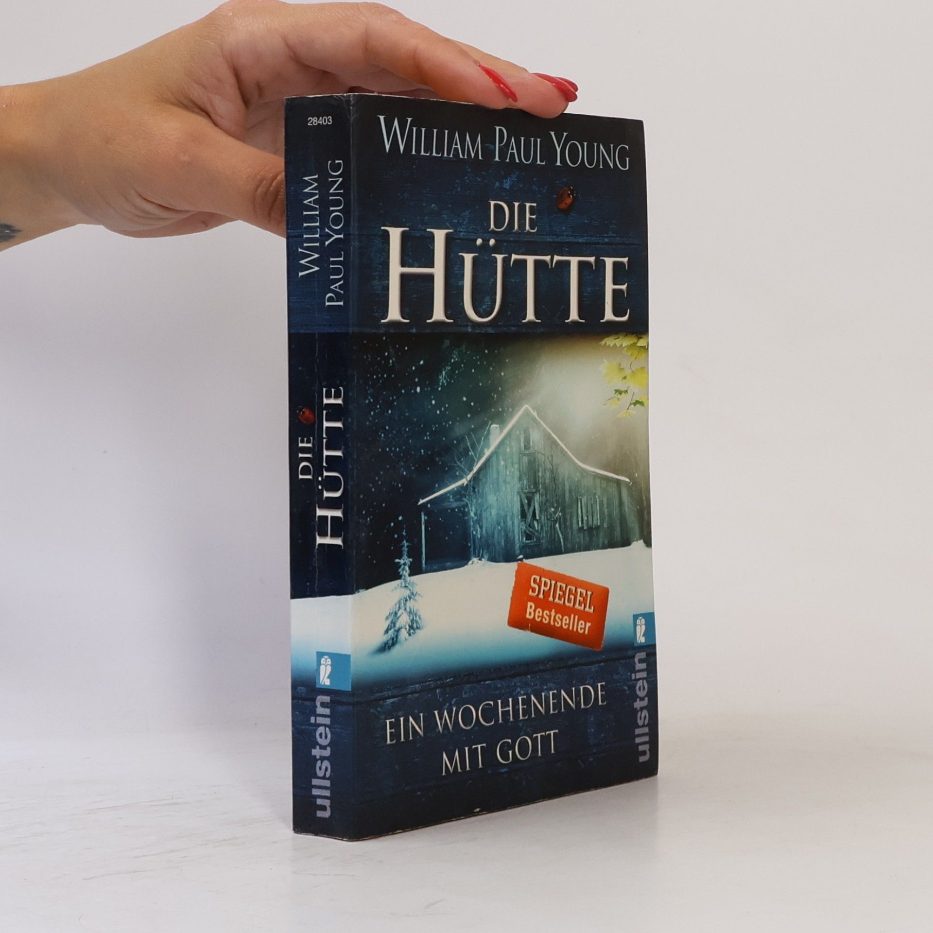 William P. Young Die Hütte