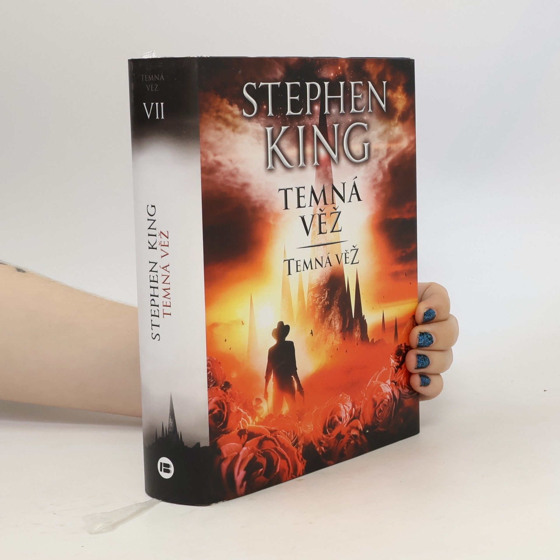 Stephen King Temná věž: Temná věž