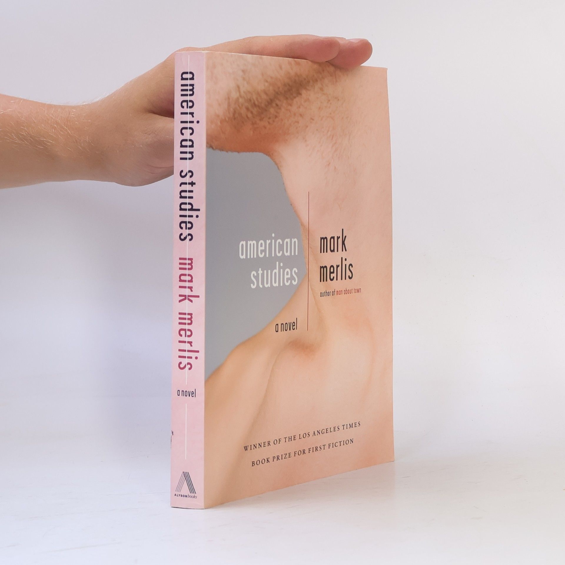 Mark Merlis American Studies