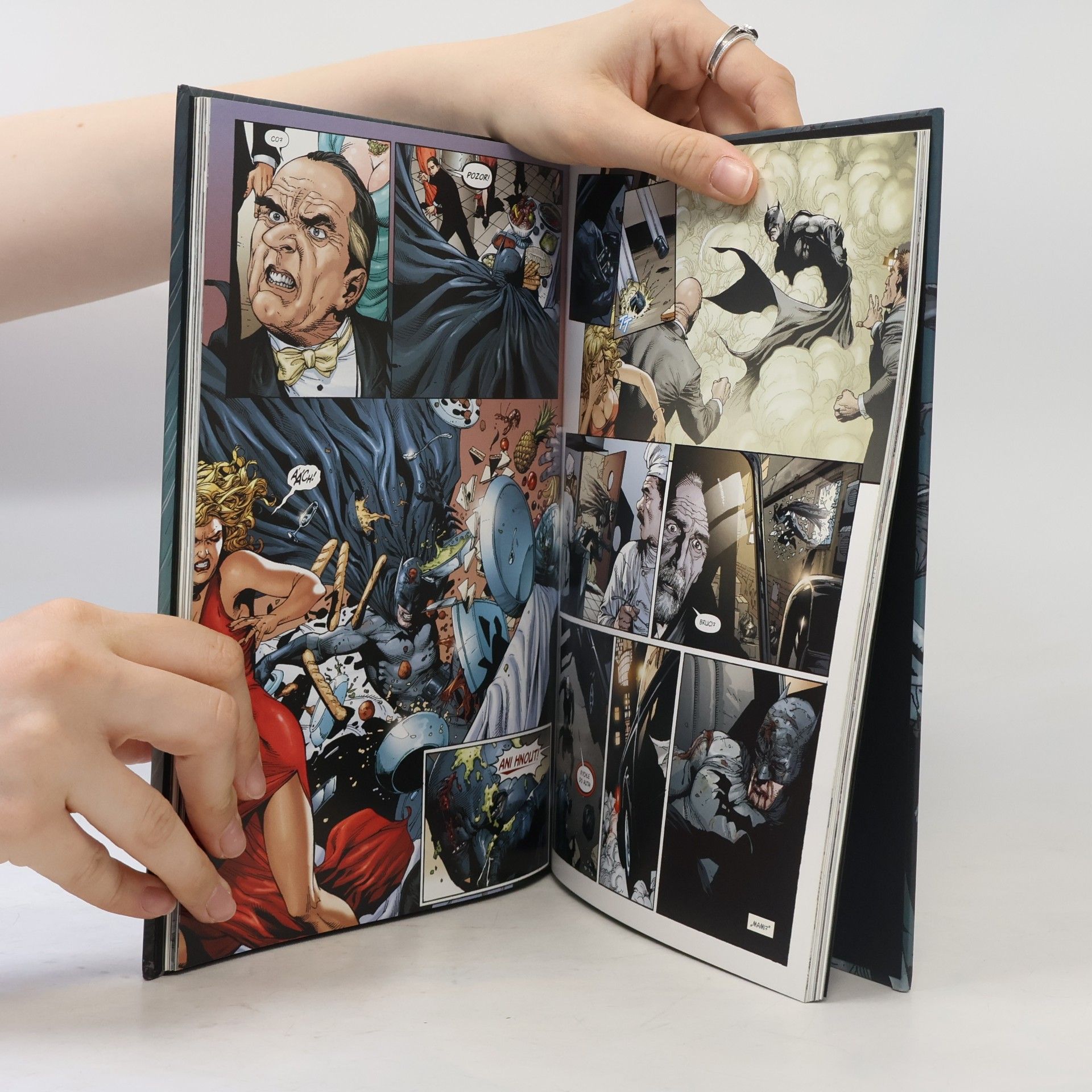 Geoff Johns Batman. Země jedna